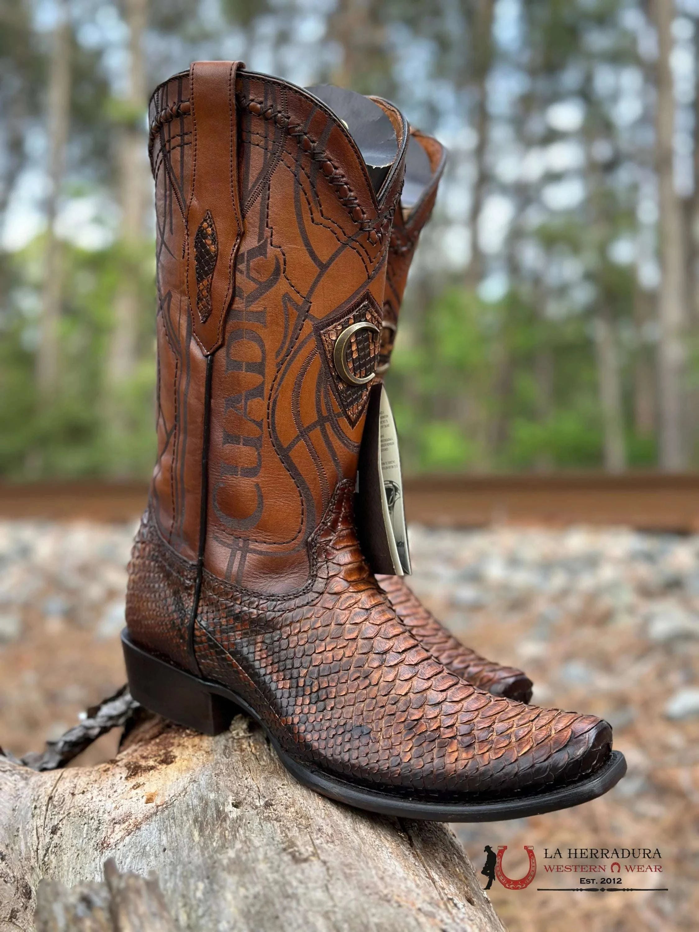 Cuadra Boots Python Cafe Semi Square Toe Botas Hombres