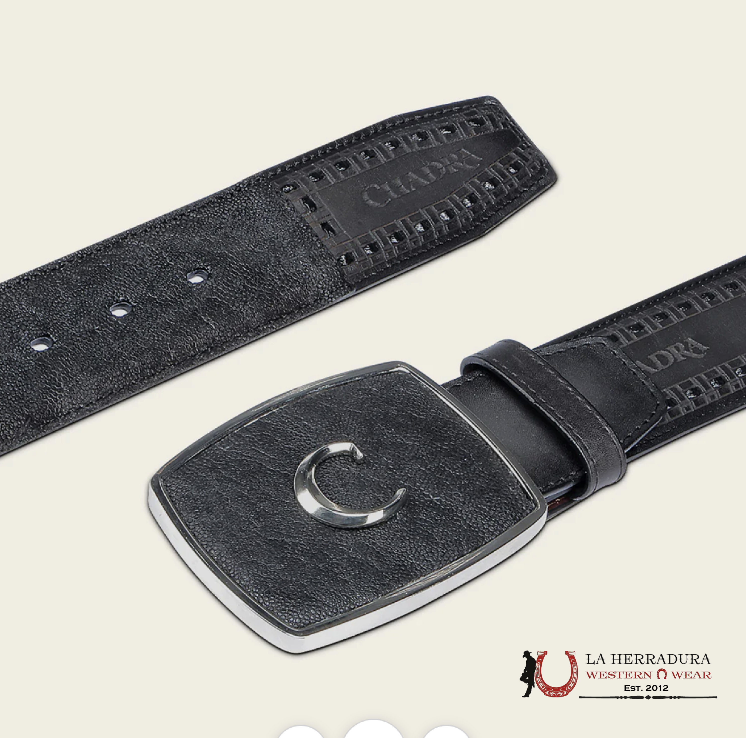 CUADRA ELEFANTE LASER/WOV BLACK BELT CINTURONES HOMBRES