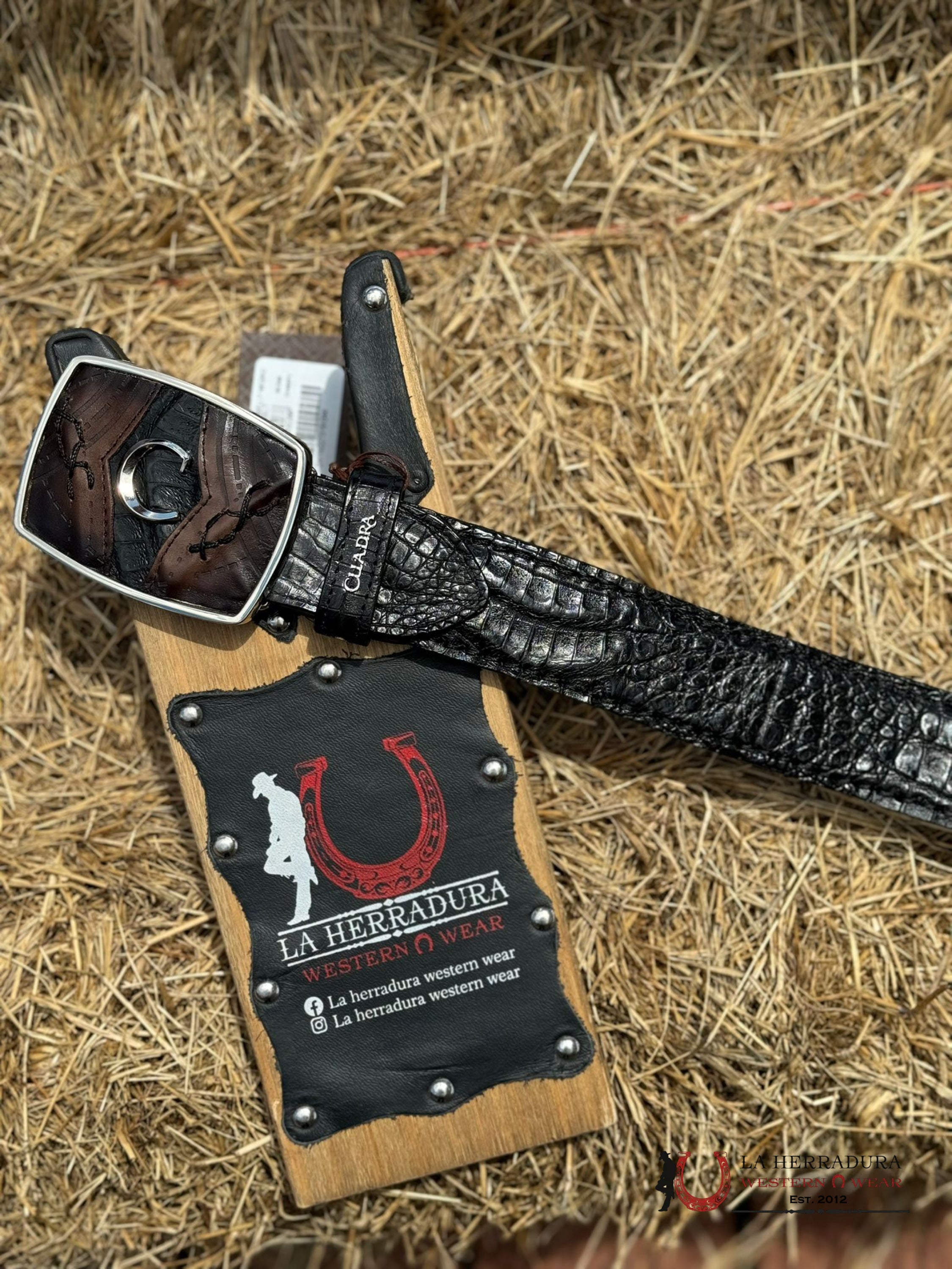 Cuadra Fuscus Lomo Bellt Black Complete Belt Cinturones Hombres