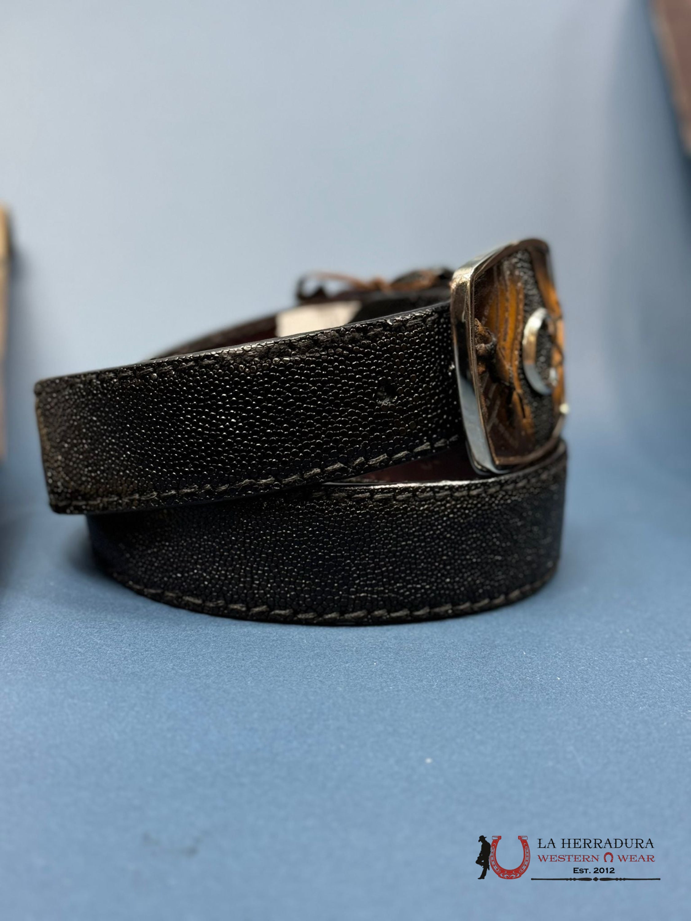 Cuadra Mantarraya Black Belt Cinturones Hombres