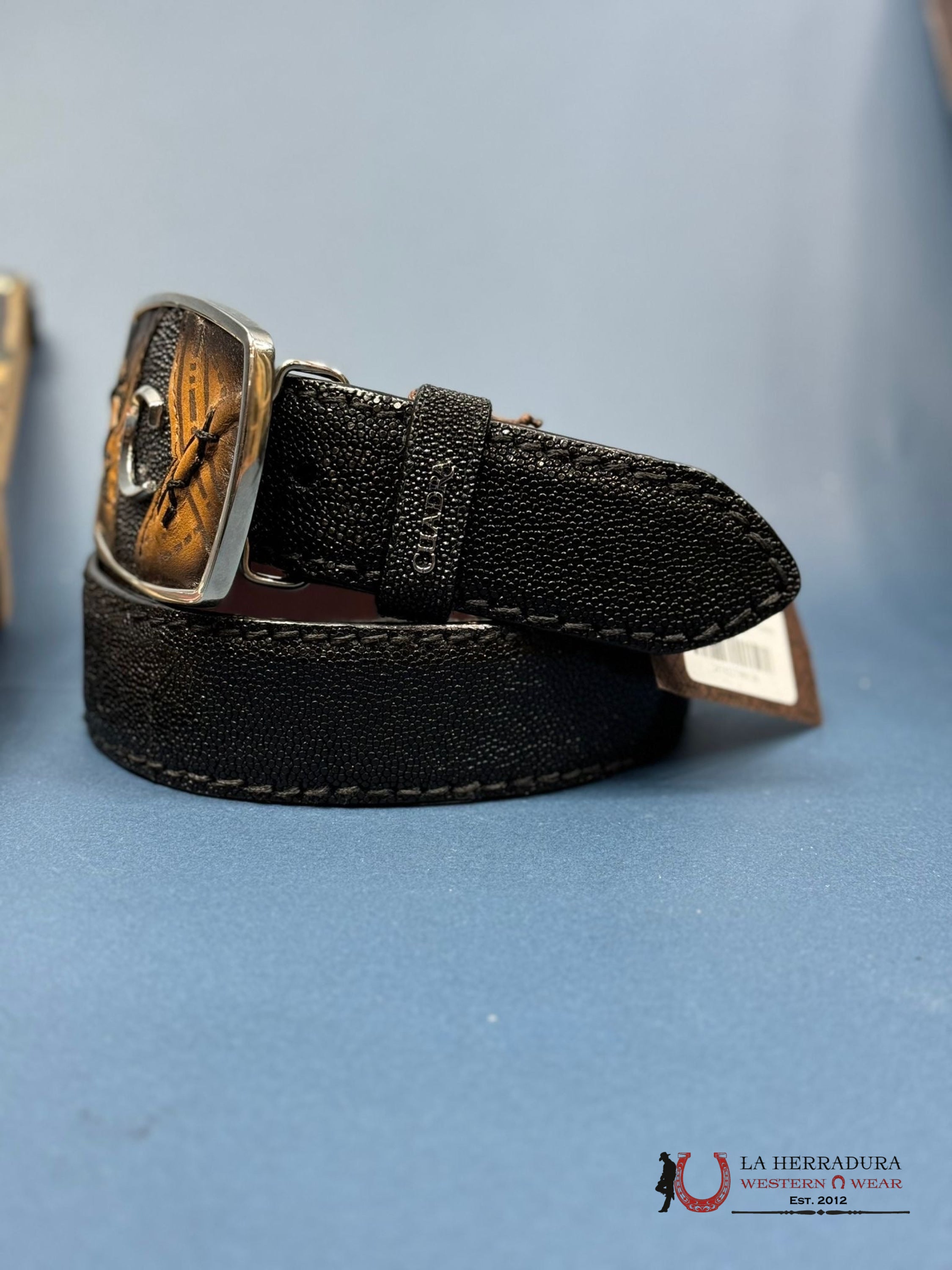 Cuadra Mantarraya Black Belt Cinturones Hombres