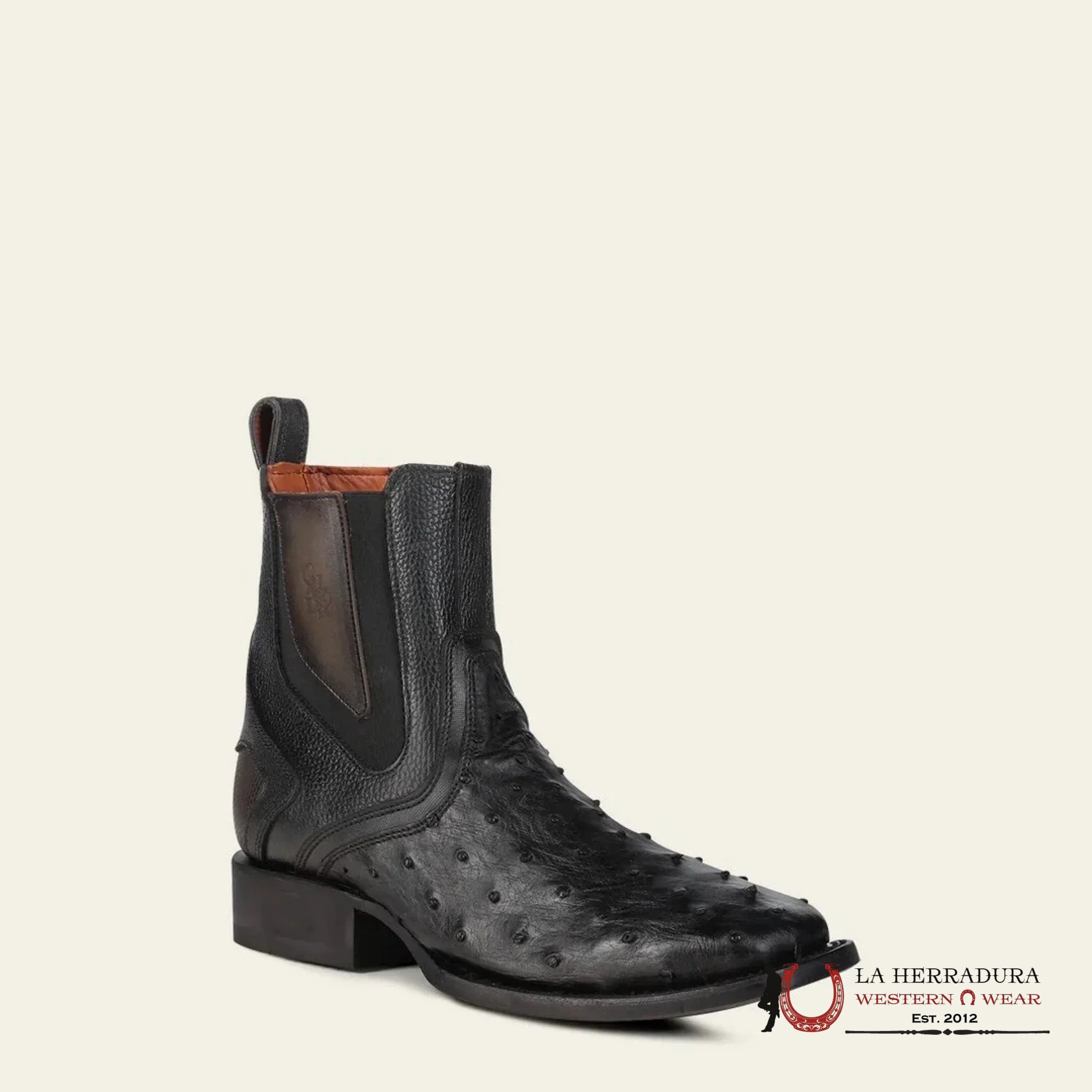 CUADRA SHORT BOTÍN BOOT AVESRUZ NEGRO CAFE SQUARE TOE CU821 BOTAS HOMBRES
