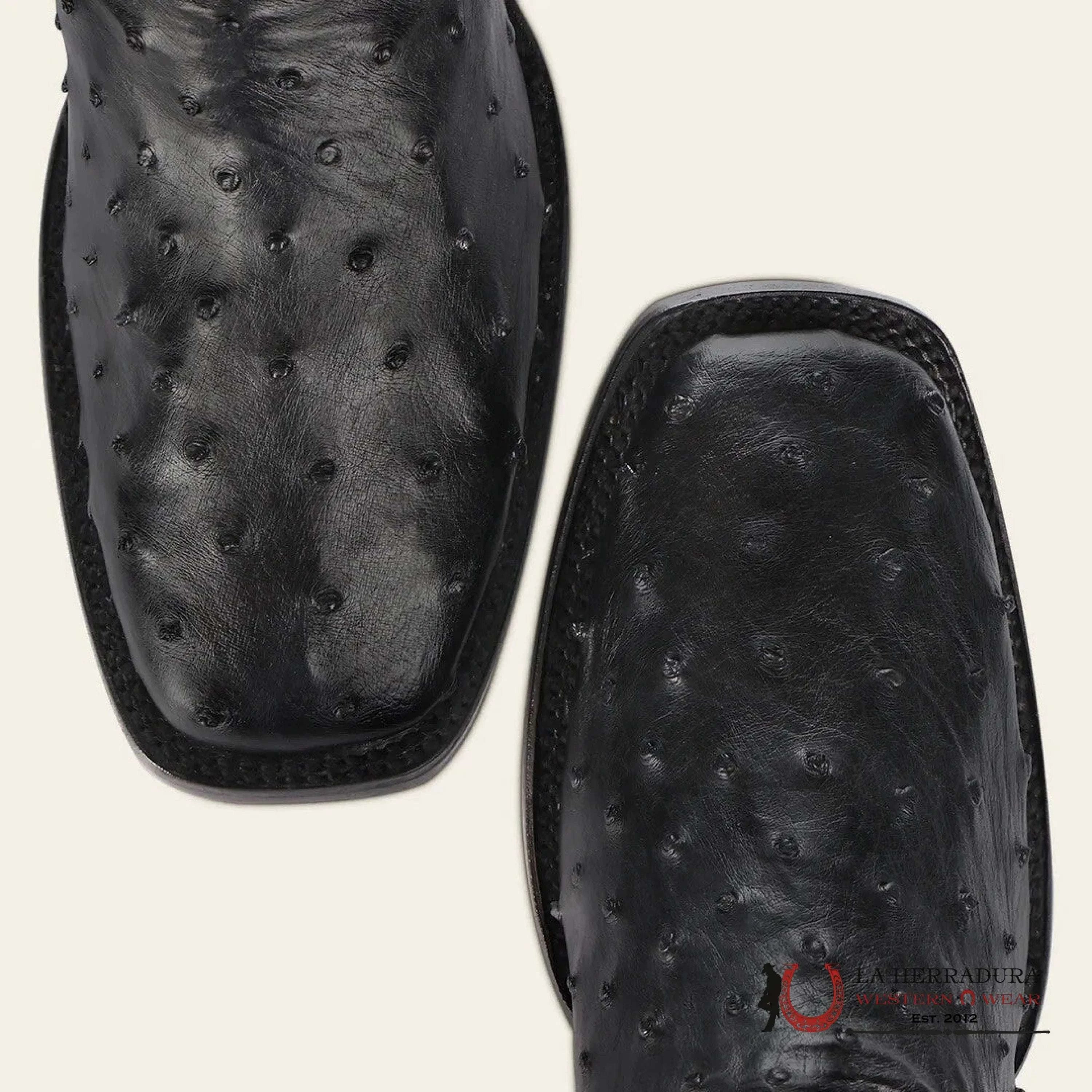 CUADRA SHORT BOTÍN BOOT AVESRUZ NEGRO CAFE SQUARE TOE CU821 BOTAS HOMBRES