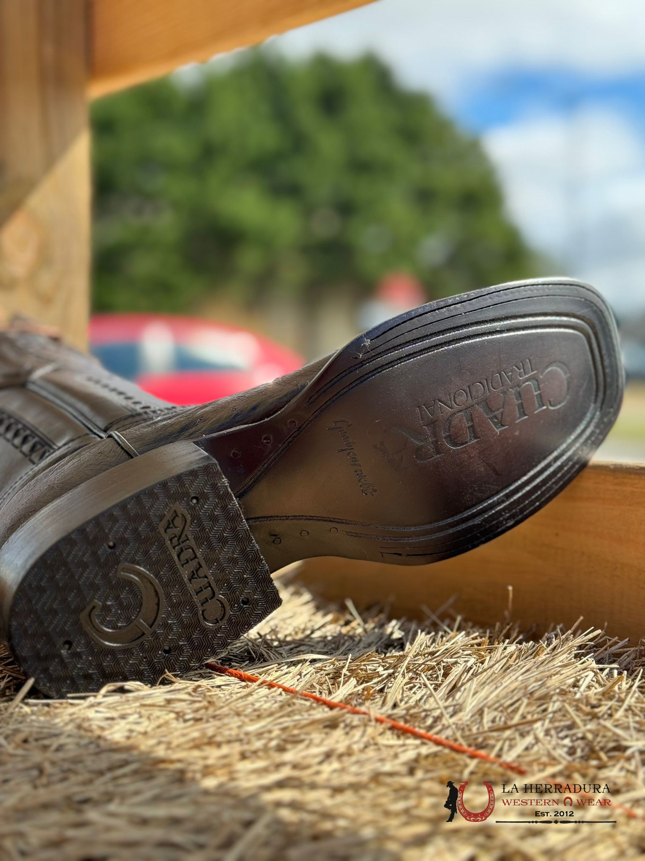 Cudra Boots Panza De Avestruz Black Cherry Laser & Woven Square Toe Botas Hombres