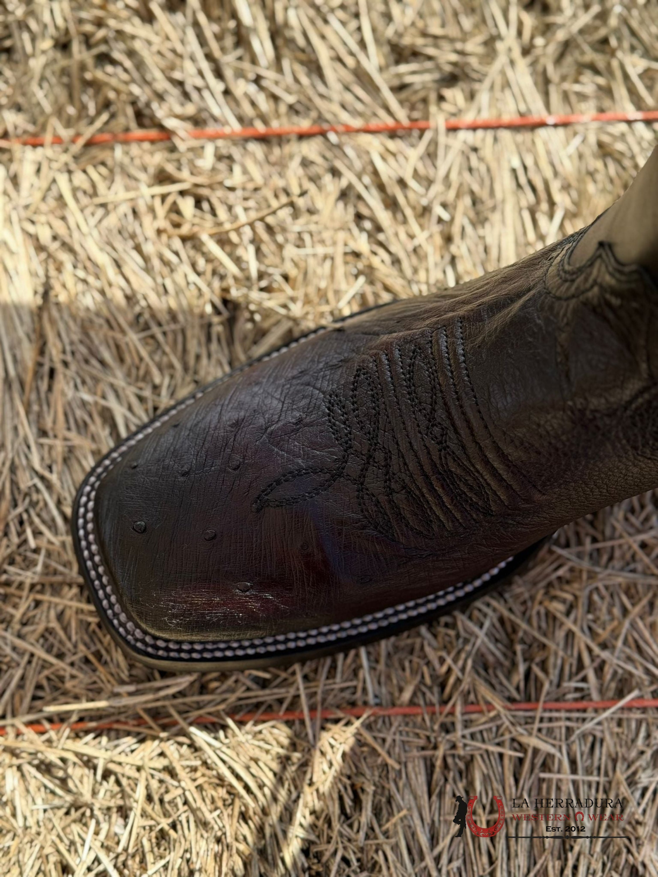 Cudra Boots Panza De Avestruz Black Cherry Laser & Woven Square Toe Botas Hombres