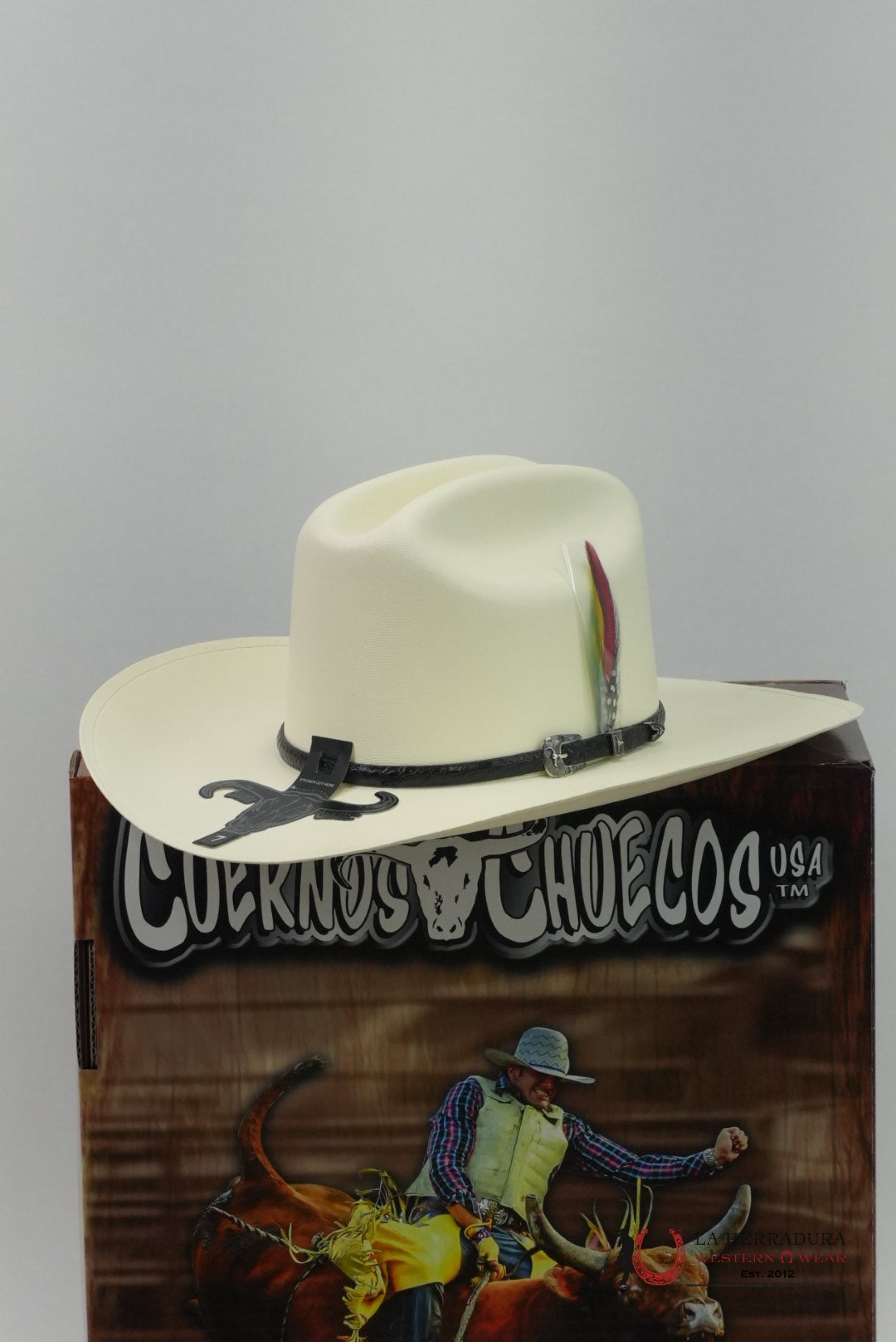CUERNOS CHUECOS 5000X LIMITED EDITION STRAW HAT COPA CHICA ALA 4 PULGADAS TEJANA