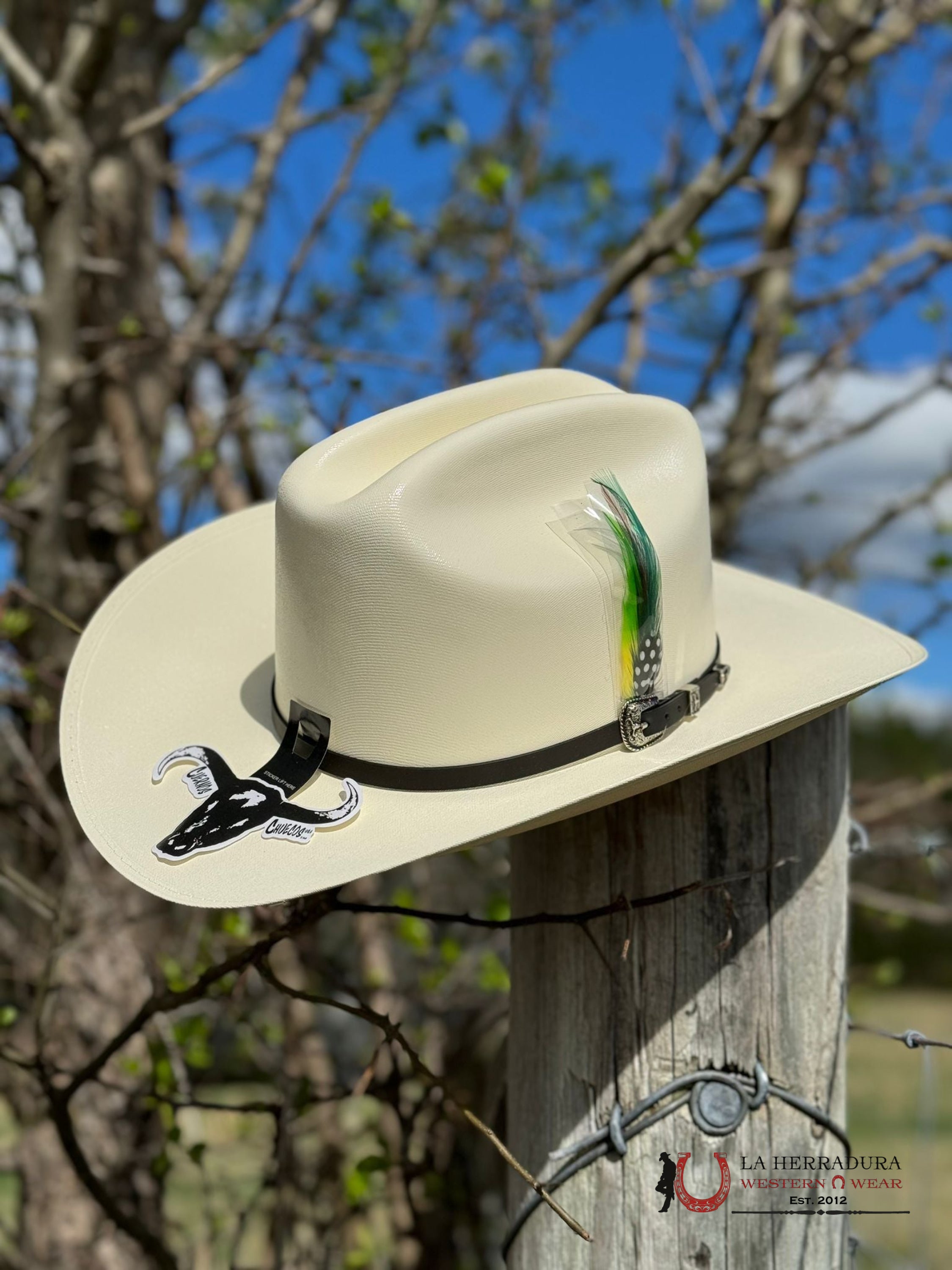 Cuernos Chuecos 5000X Limited Edition Straw Hat Ranchera Atejanada Tejana