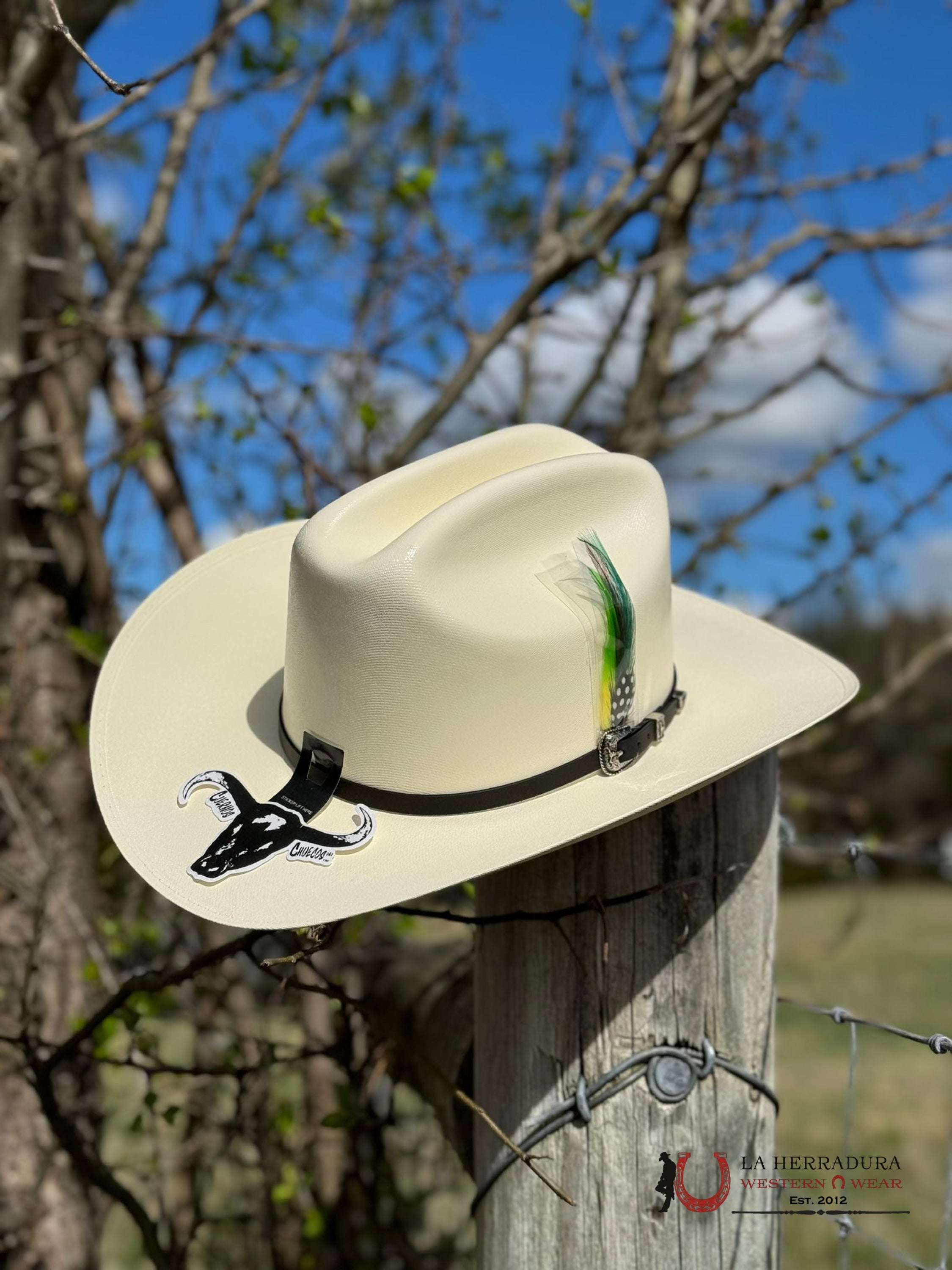 Cuernos Chuecos 5000X Limited Edition Straw Hat Ranchera Atejanada Tejana