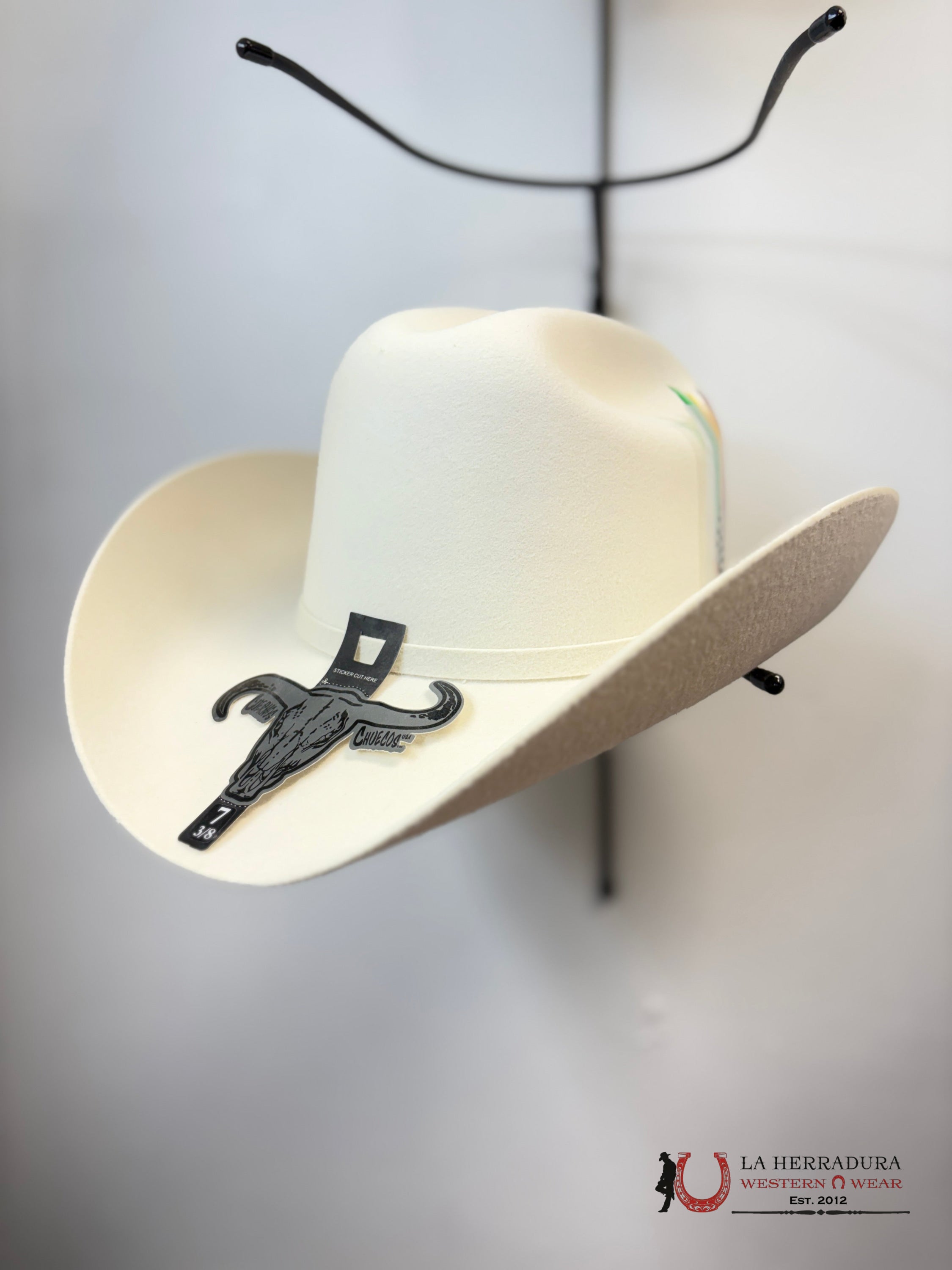 CUERNOS CHUECOS 6X copa regular WHITE TEJANA