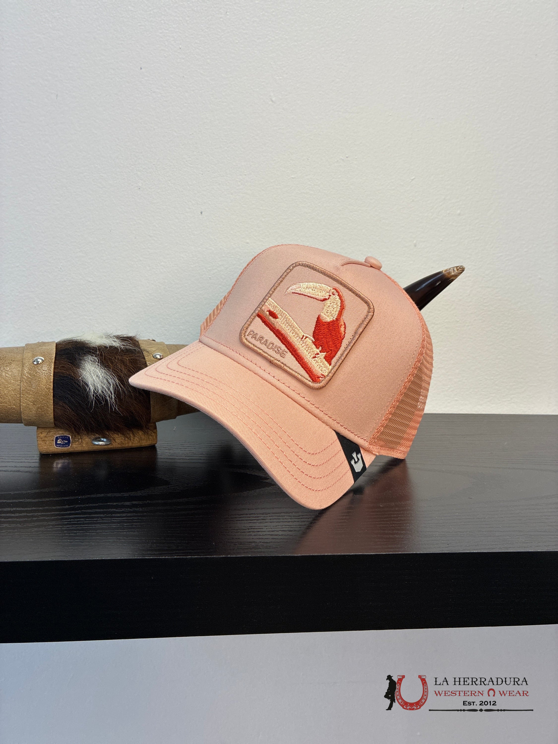 EXOTIC ANIMAL Style TOUCAN MIRAGE CAP