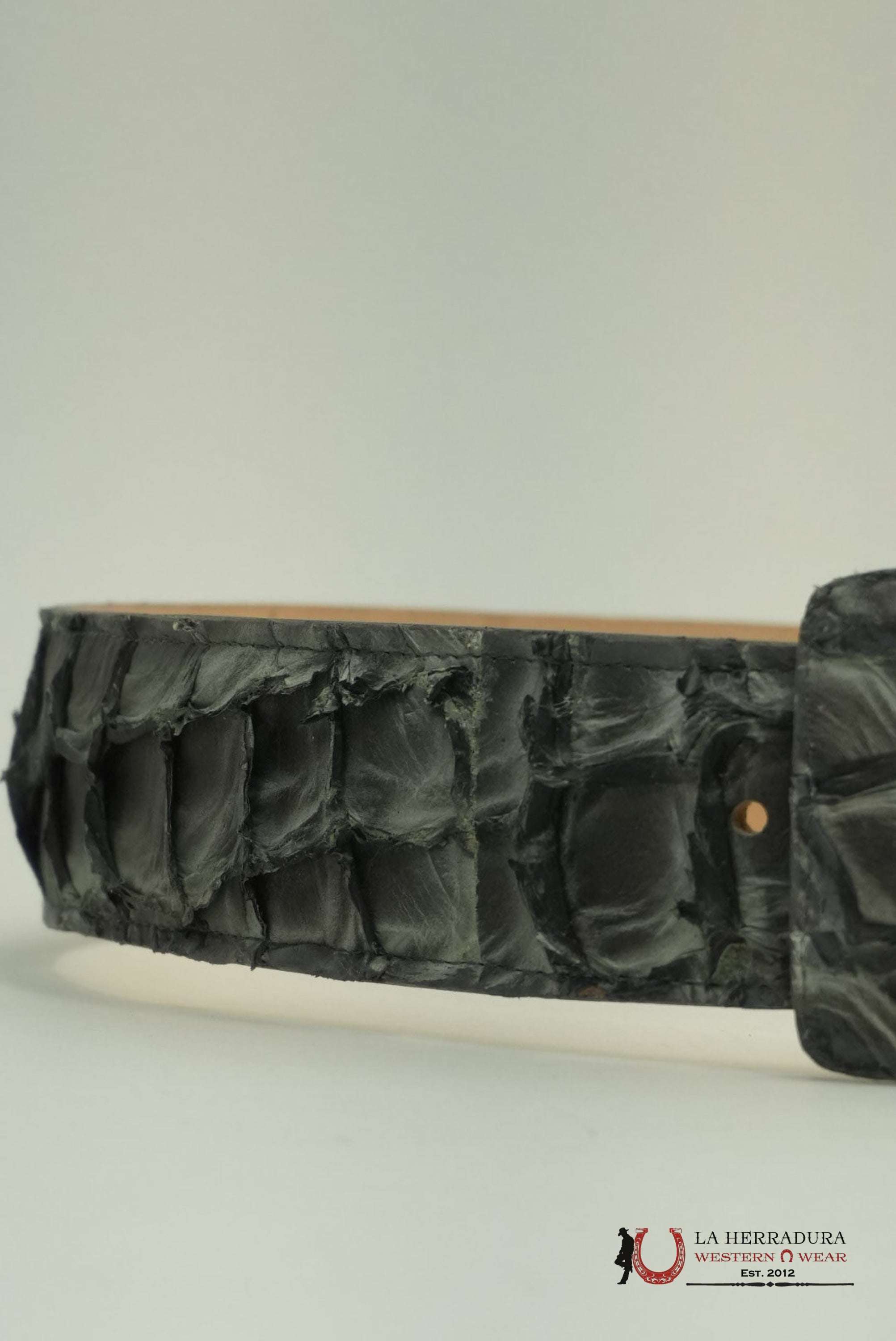 EXOTIC FISH CHARCOAL BELT SQUARE BUCKLE CINTURONES HOMBRES