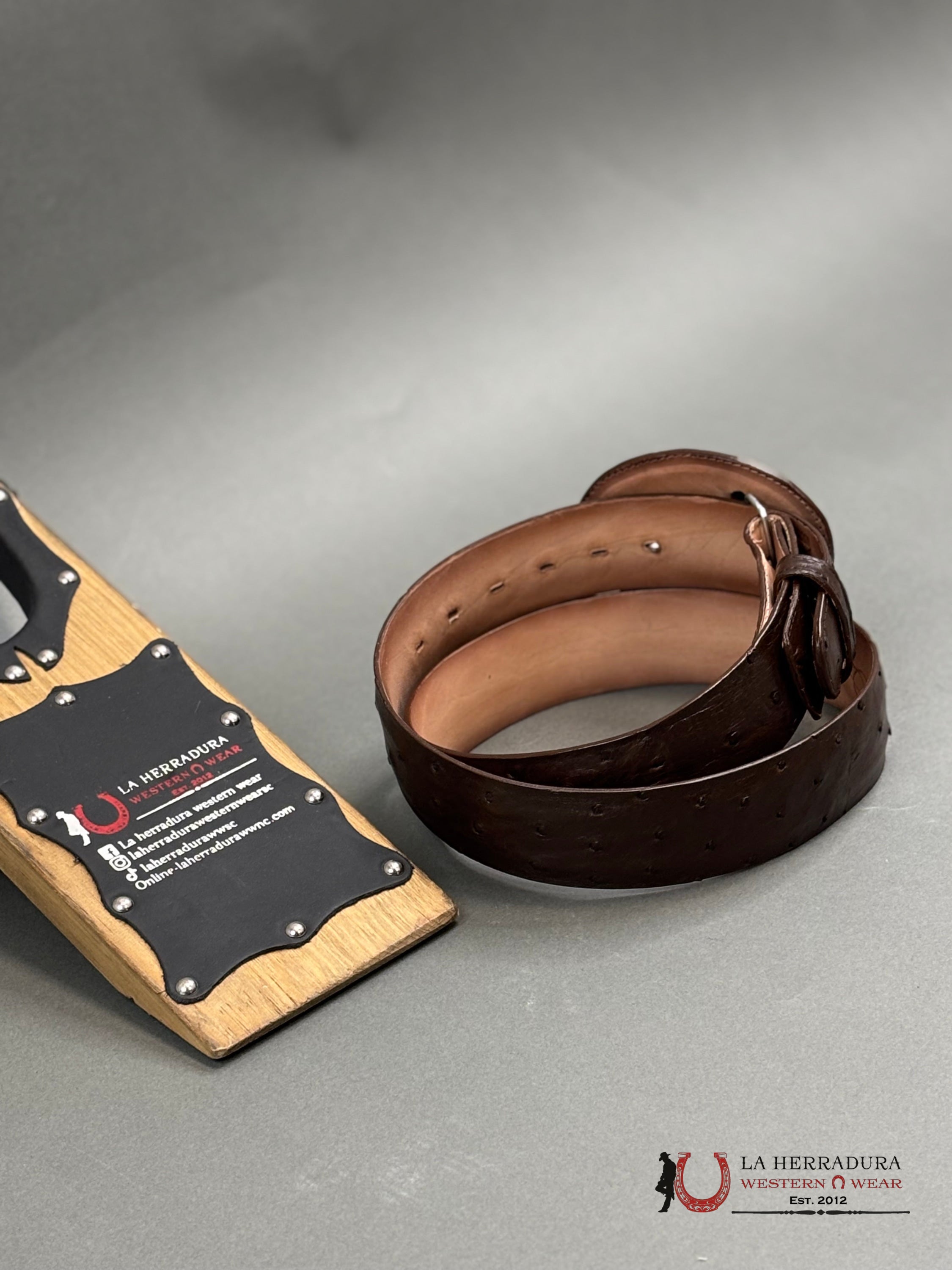 Exotic Ostrich Brown Belt Round Buckle Cinturones Hombres