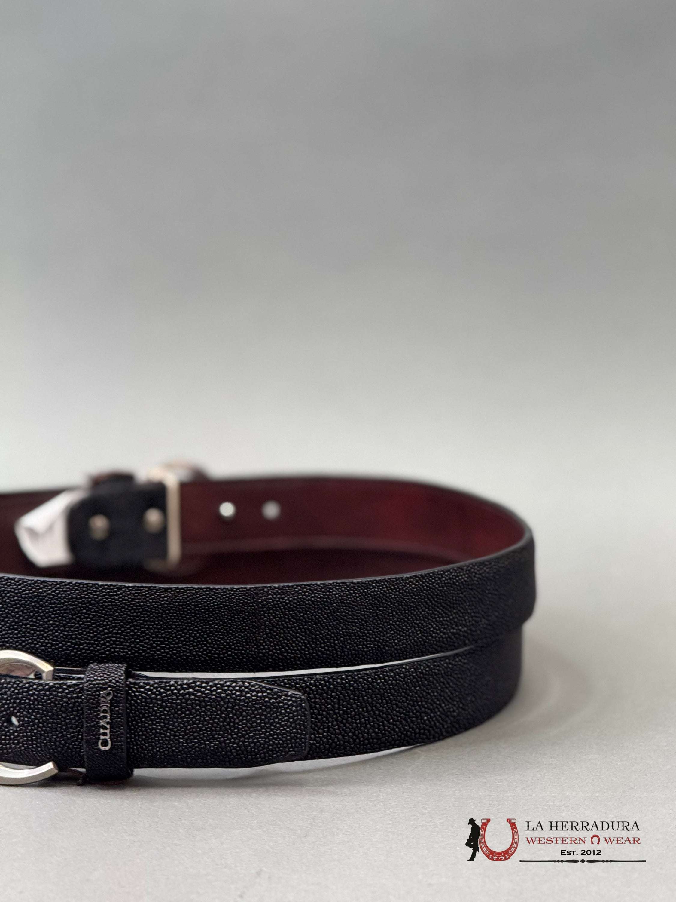 FRANCO CUADRA BELT SRINGRAY MANTARRAY BLACK CINTURONES HOMBRES