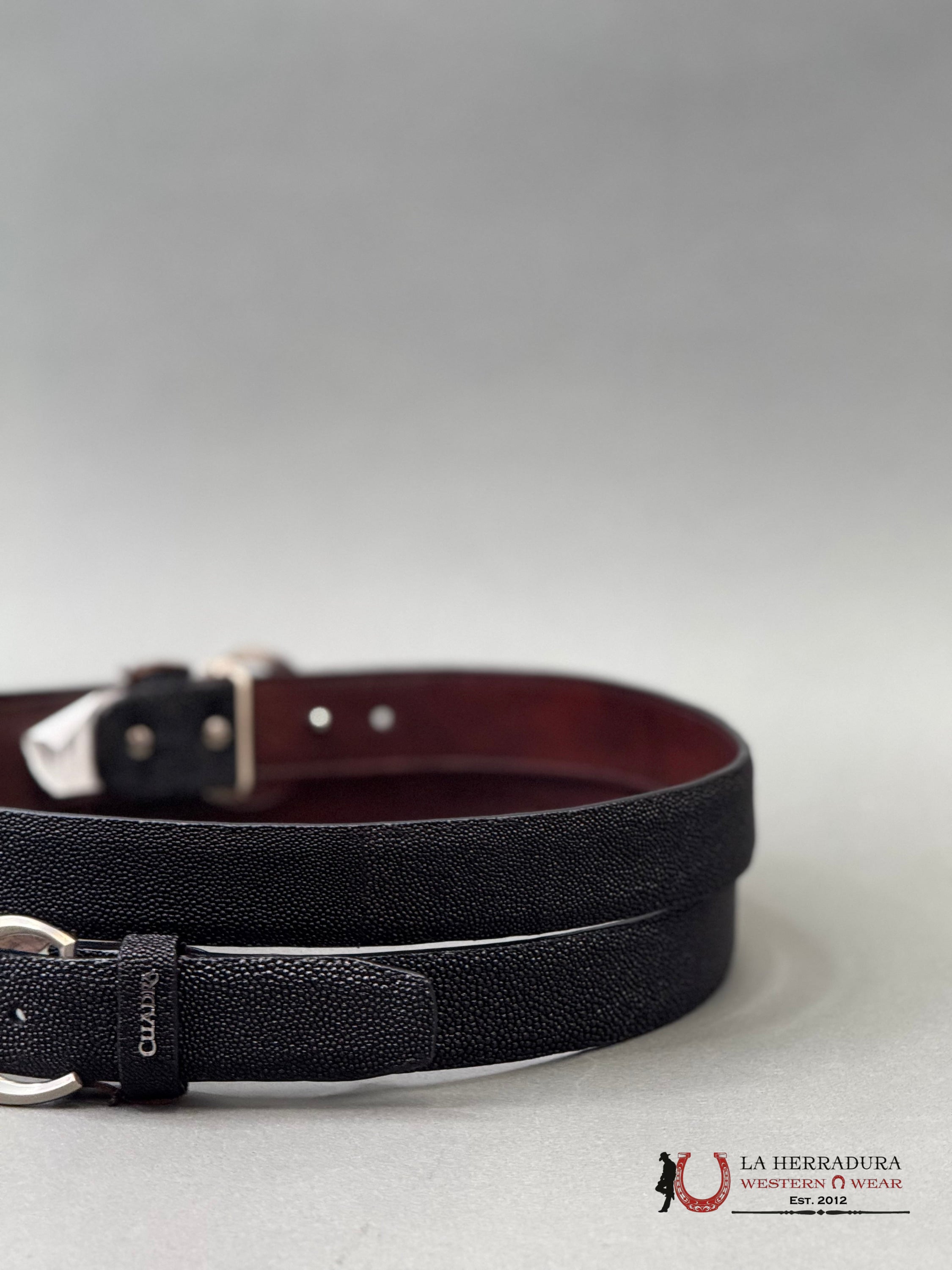 FRANCO CUADRA BELT SRINGRAY MANTARRAY BLACK CINTURONES HOMBRES