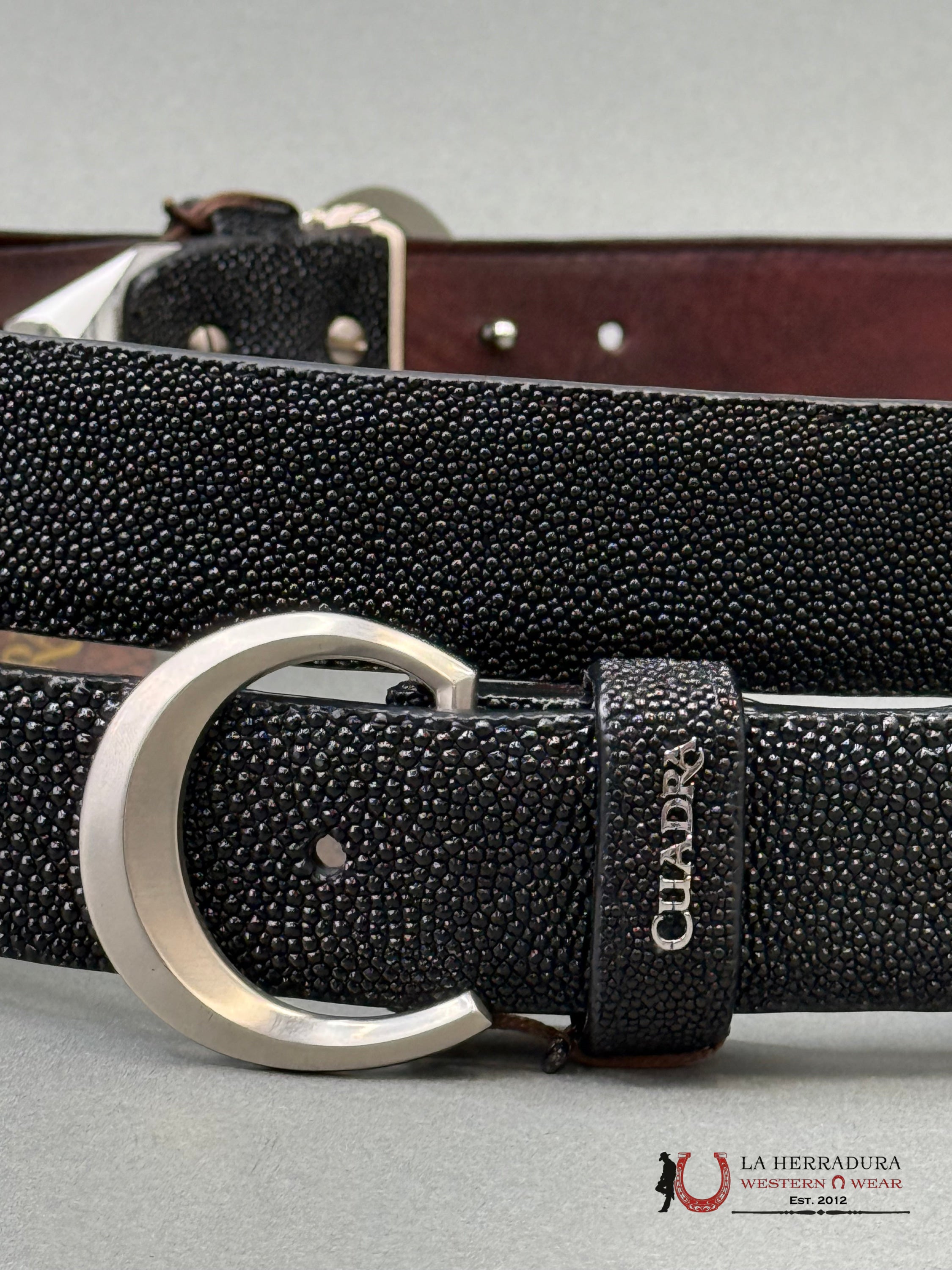 FRANCO CUADRA BELT SRINGRAY MANTARRAY BLACK CINTURONES HOMBRES