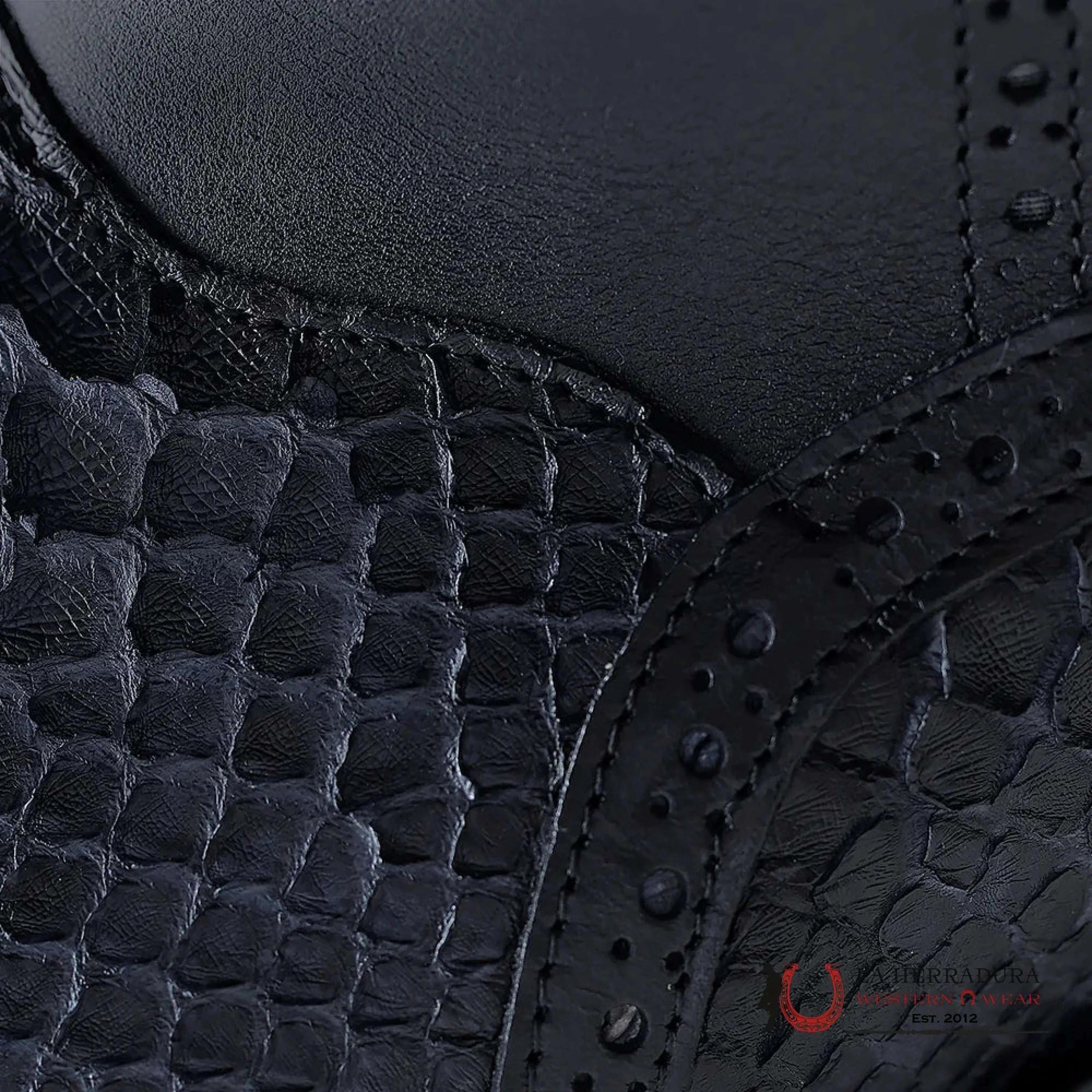 FRANCO CUADRA PYTHON TERNERA INCA BLACK SHORT BOOT FC817 BOTAS HOMBRES