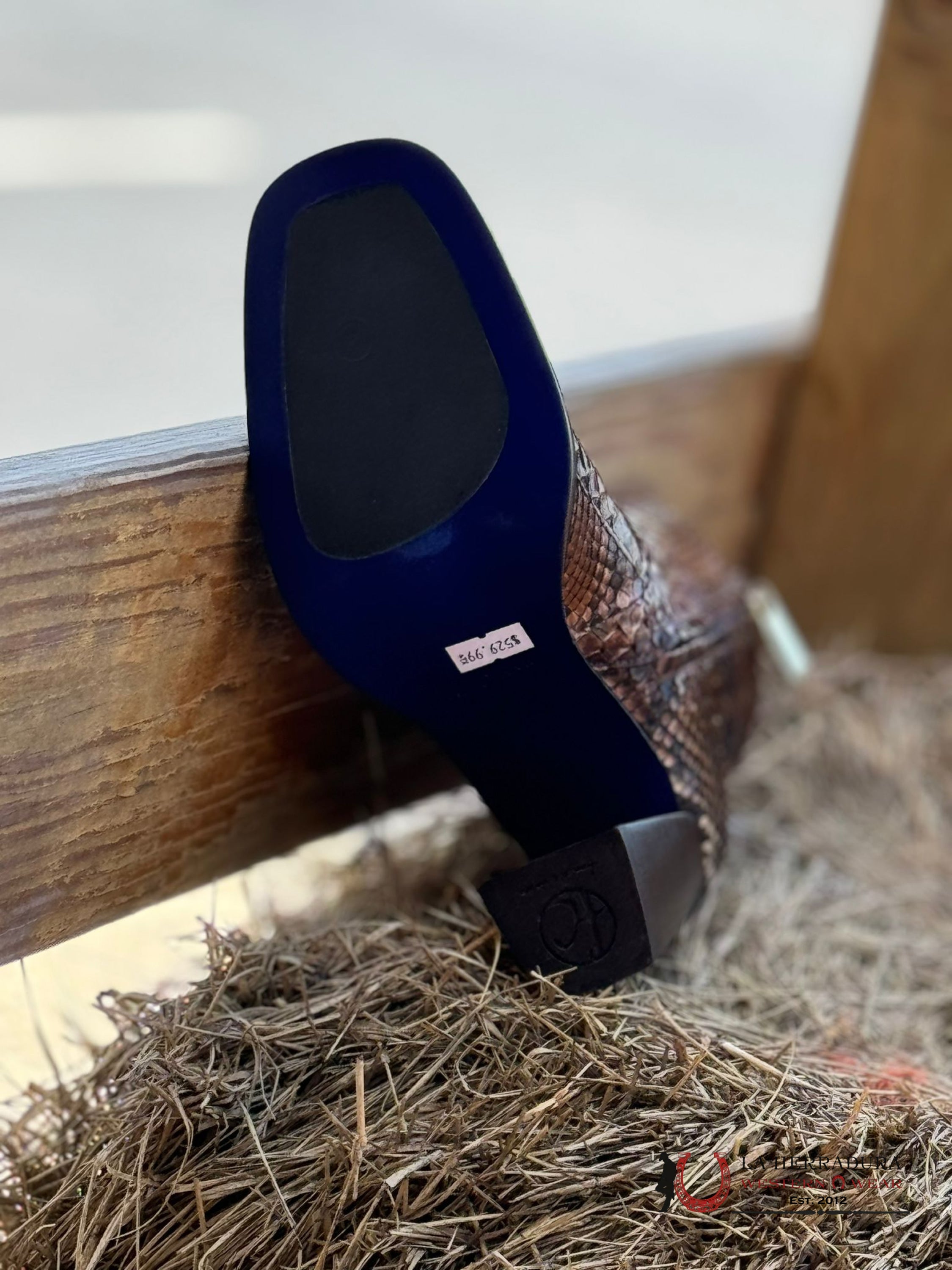 Franco Cuadra Short Boot Python Ret Honey Miel Botas Mujeres