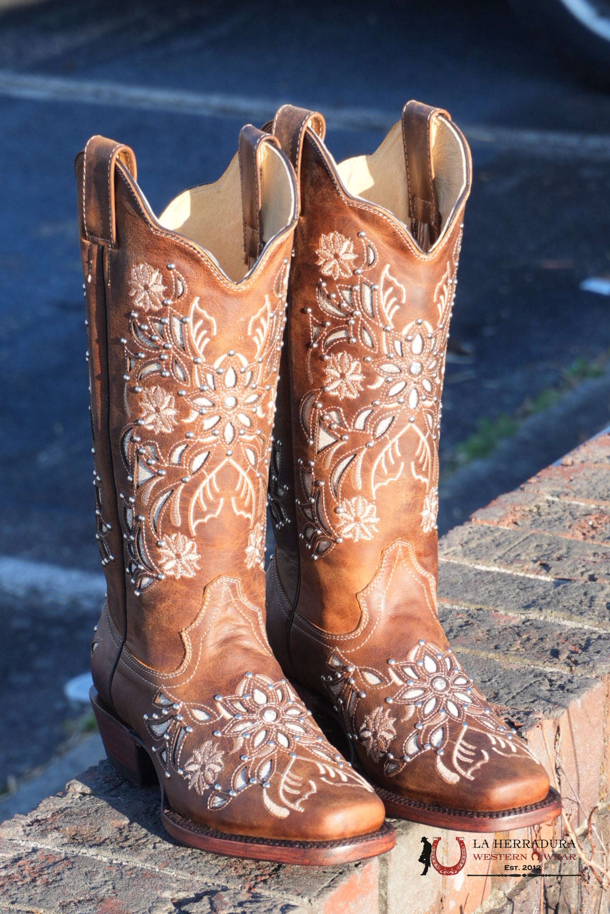 Gold Edition Ébano Honry Lazer Sol BOTAS MUJERES