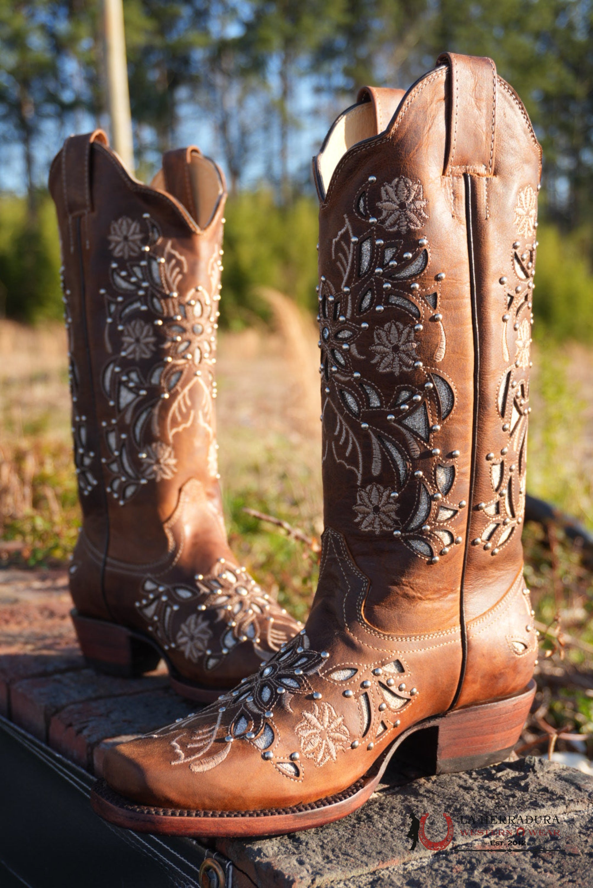 Gold Edition Ébano Honry Lazer Sol BOTAS MUJERES