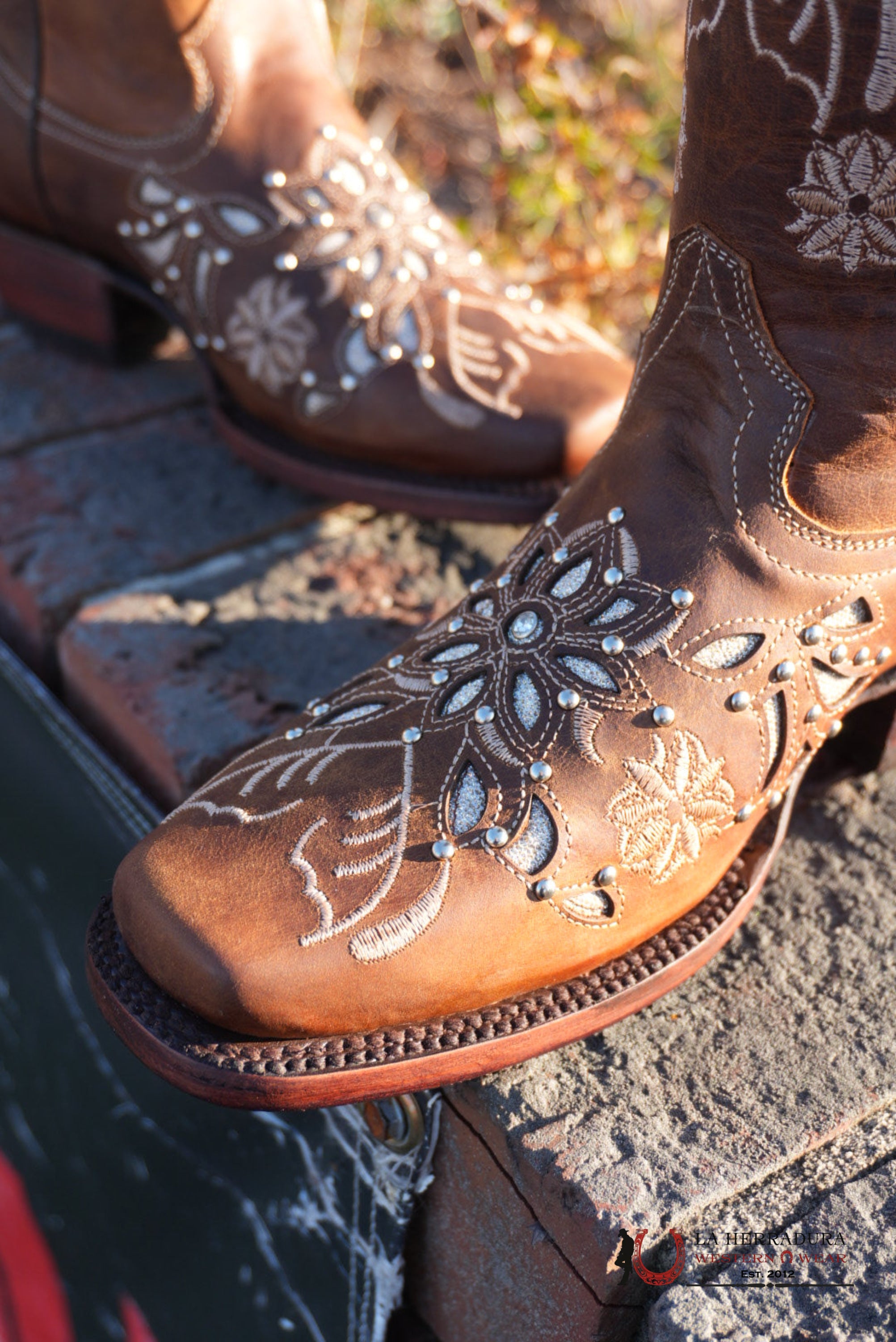 Gold Edition Ébano Honry Lazer Sol BOTAS MUJERES