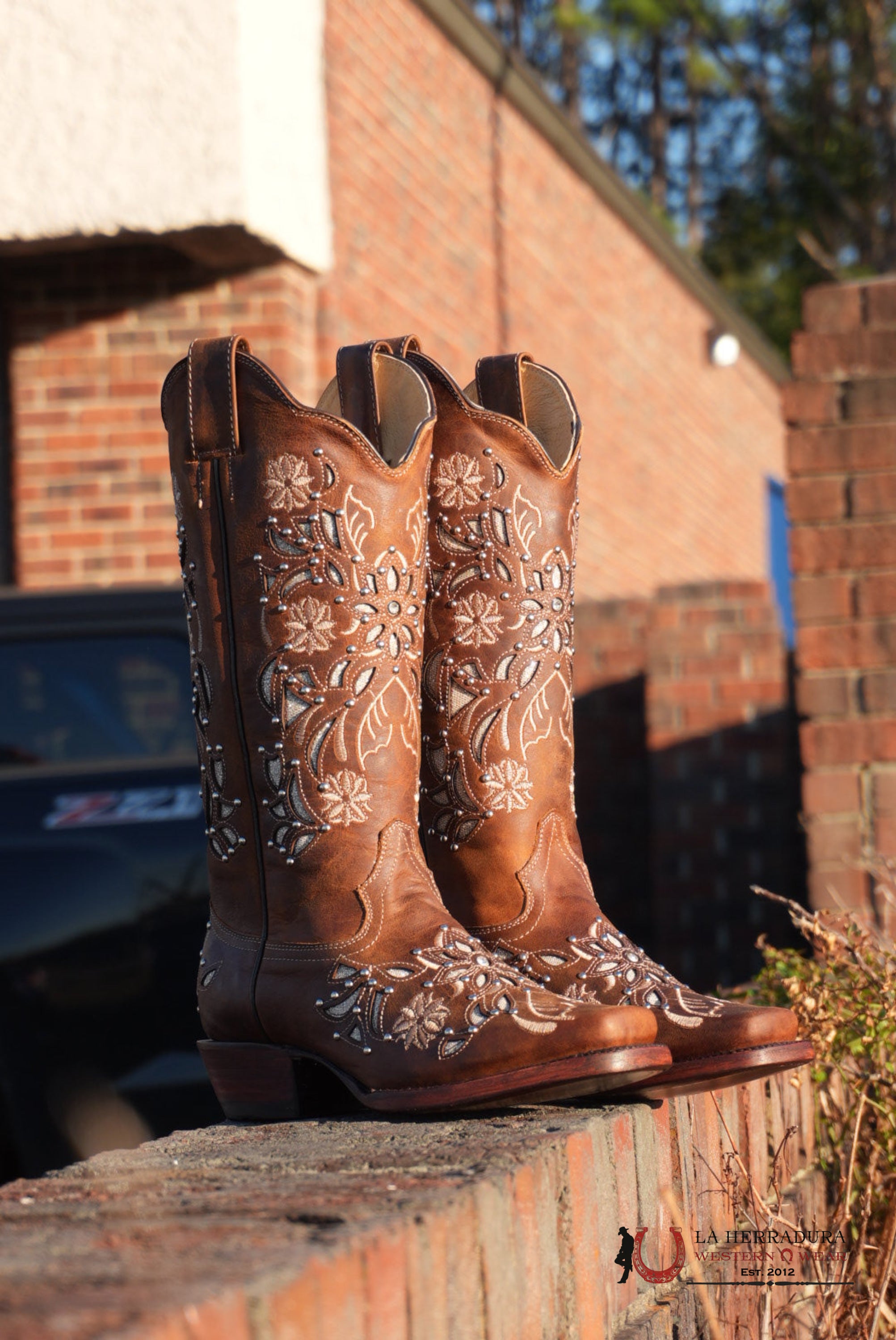 Gold Edition Ébano Honry Lazer Sol BOTAS MUJERES