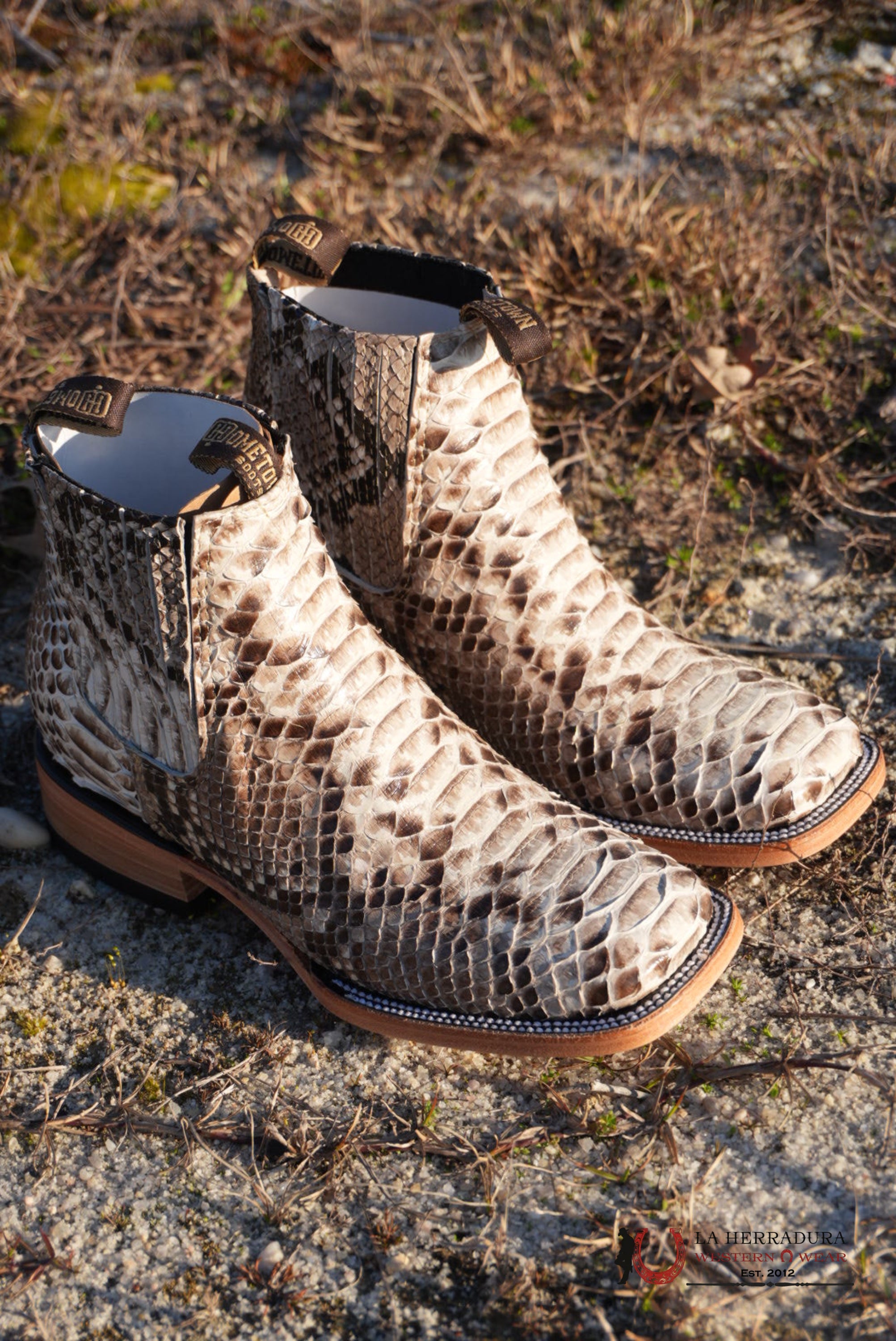 Hometown Python Natural Square Toe Botine BOTAS HOMBRES