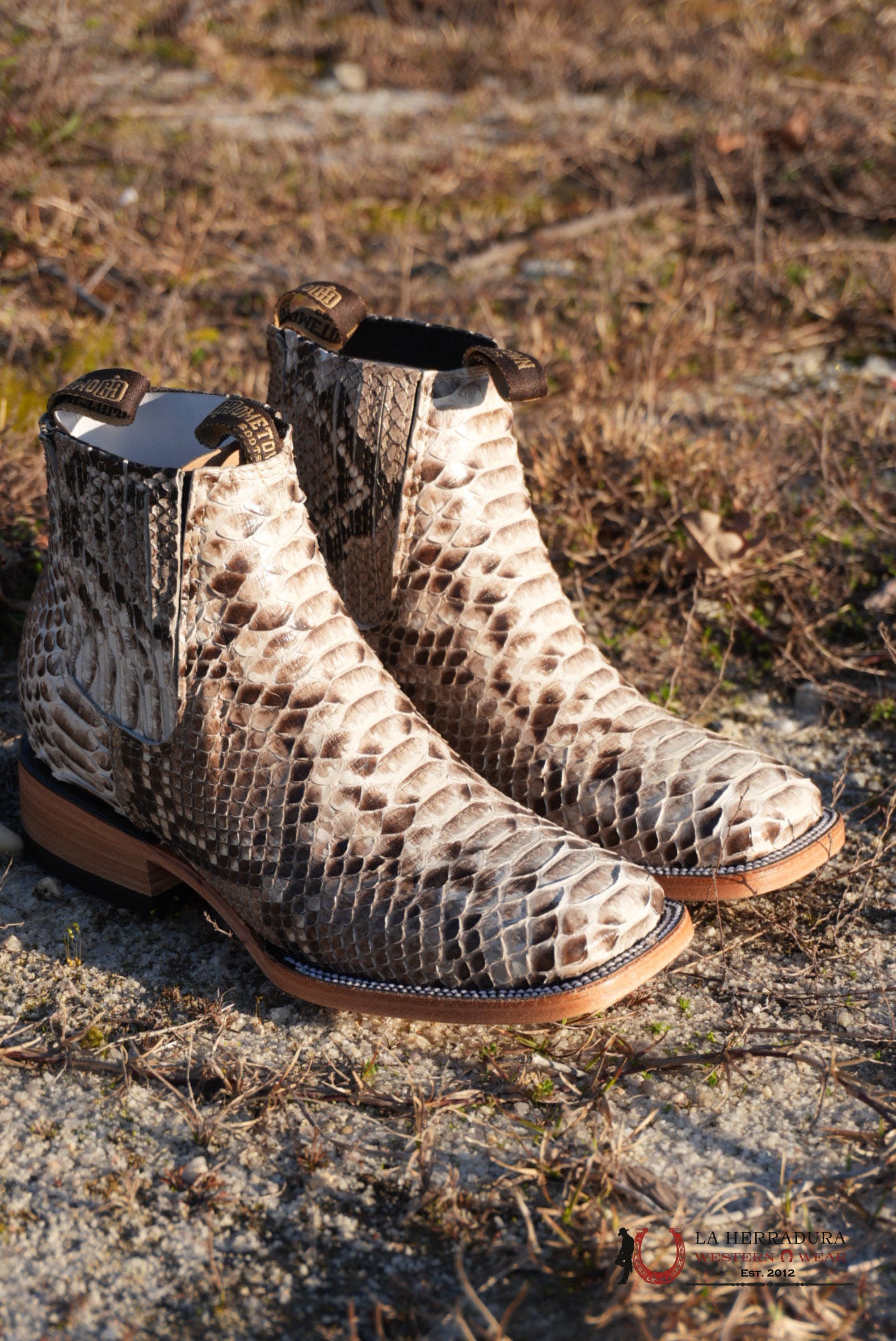 Hometown Python Natural Square Toe Botine BOTAS HOMBRES