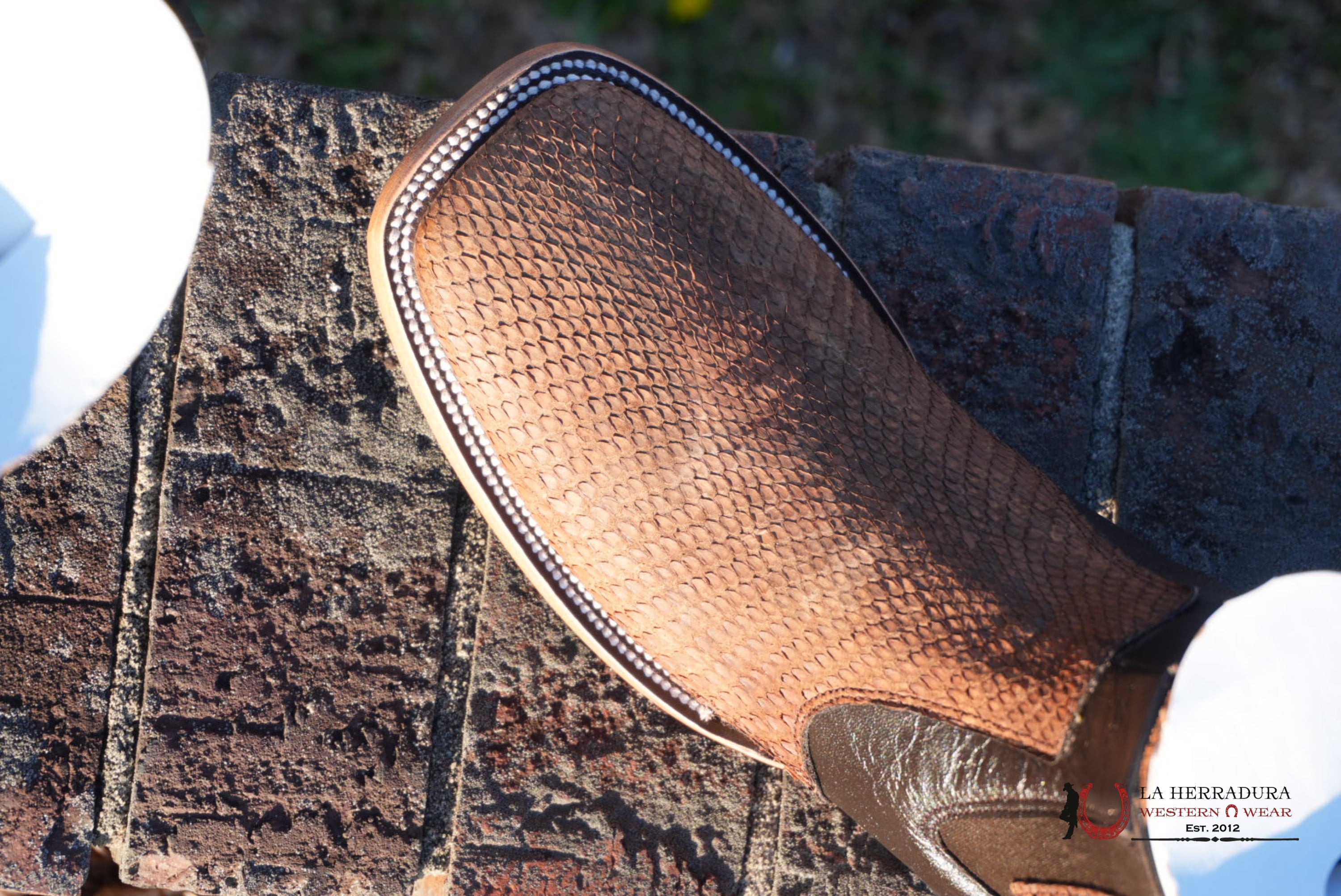 Hometown Python Belly Tamarindo Square Toe Botine BOTAS HOMBRES