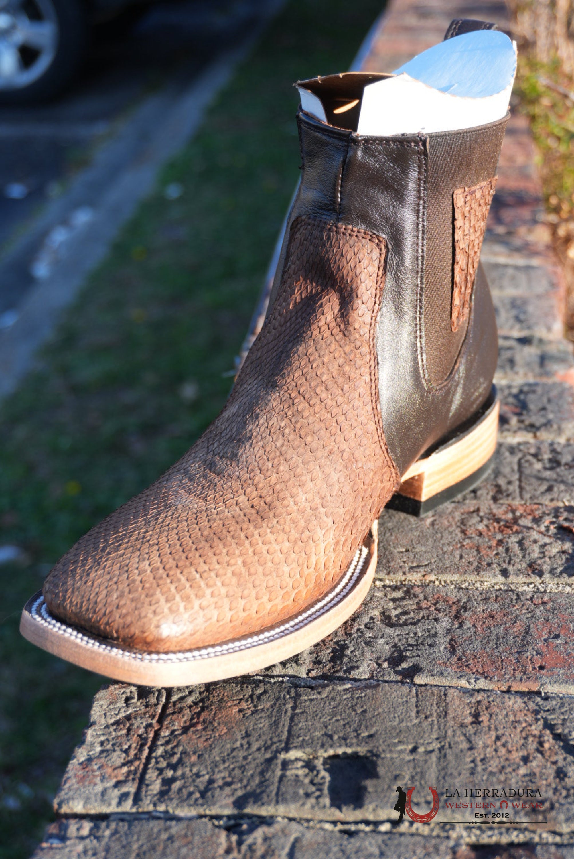 Hometown Python Belly Tamarindo Square Toe Botine BOTAS HOMBRES