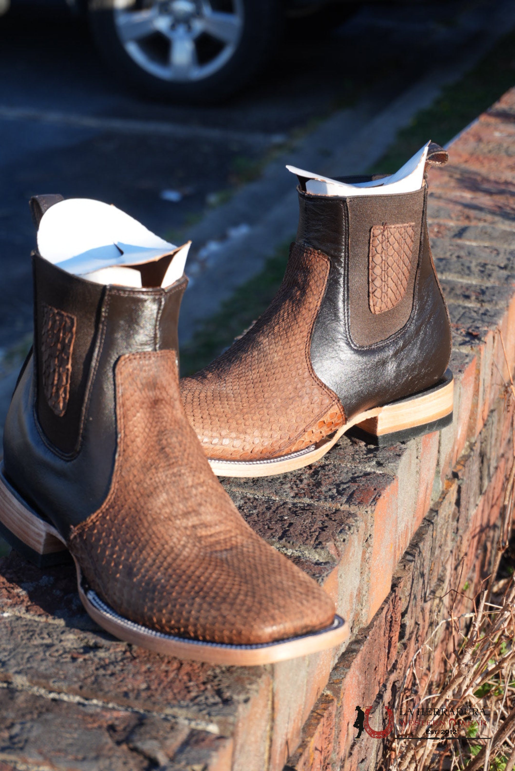 Hometown Python Belly Tamarindo Square Toe Botine BOTAS HOMBRES