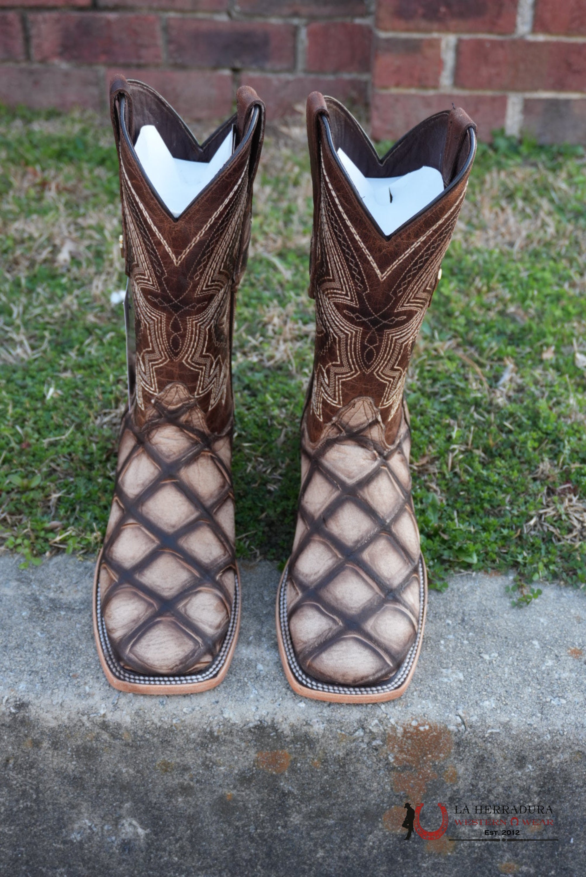 Hometown Piraru Jumbo Camel Rústico Square Toe Boot BOTAS HOMBRES