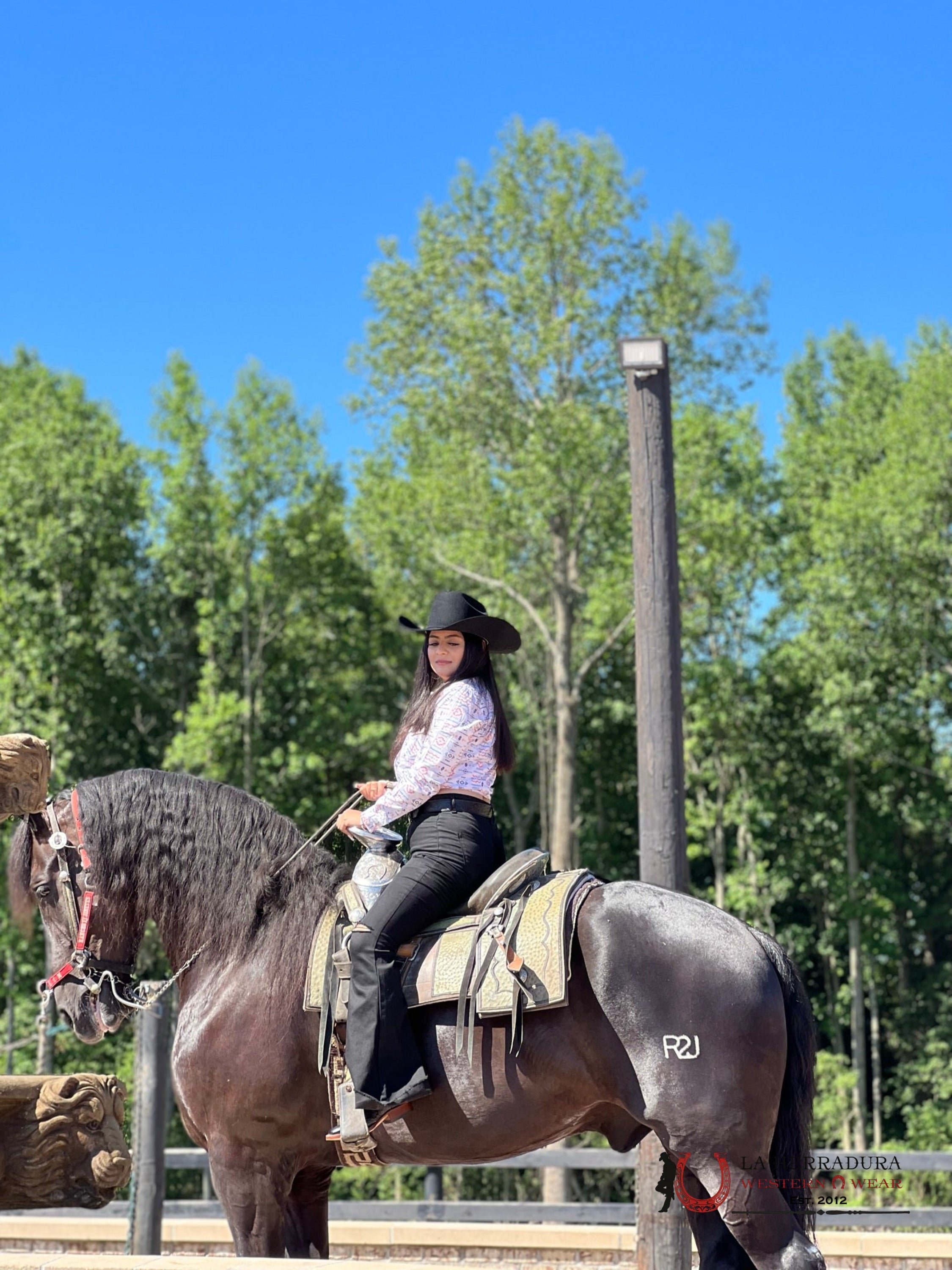 Jean For Women Bell Bottoms Black Ropa Mujeres