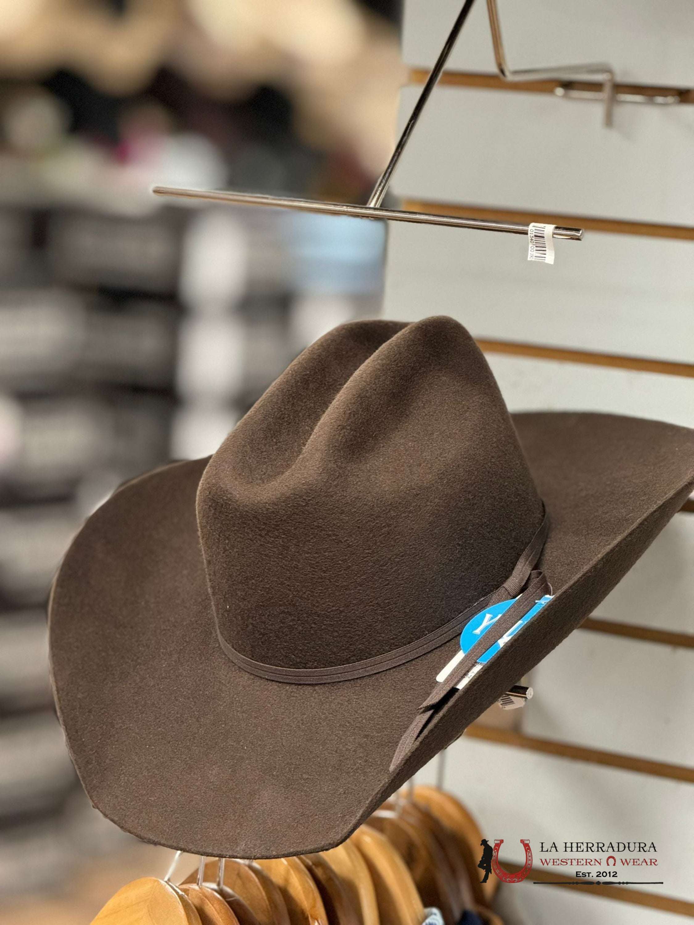 Kids Twister Brown Felt Hat Niños
