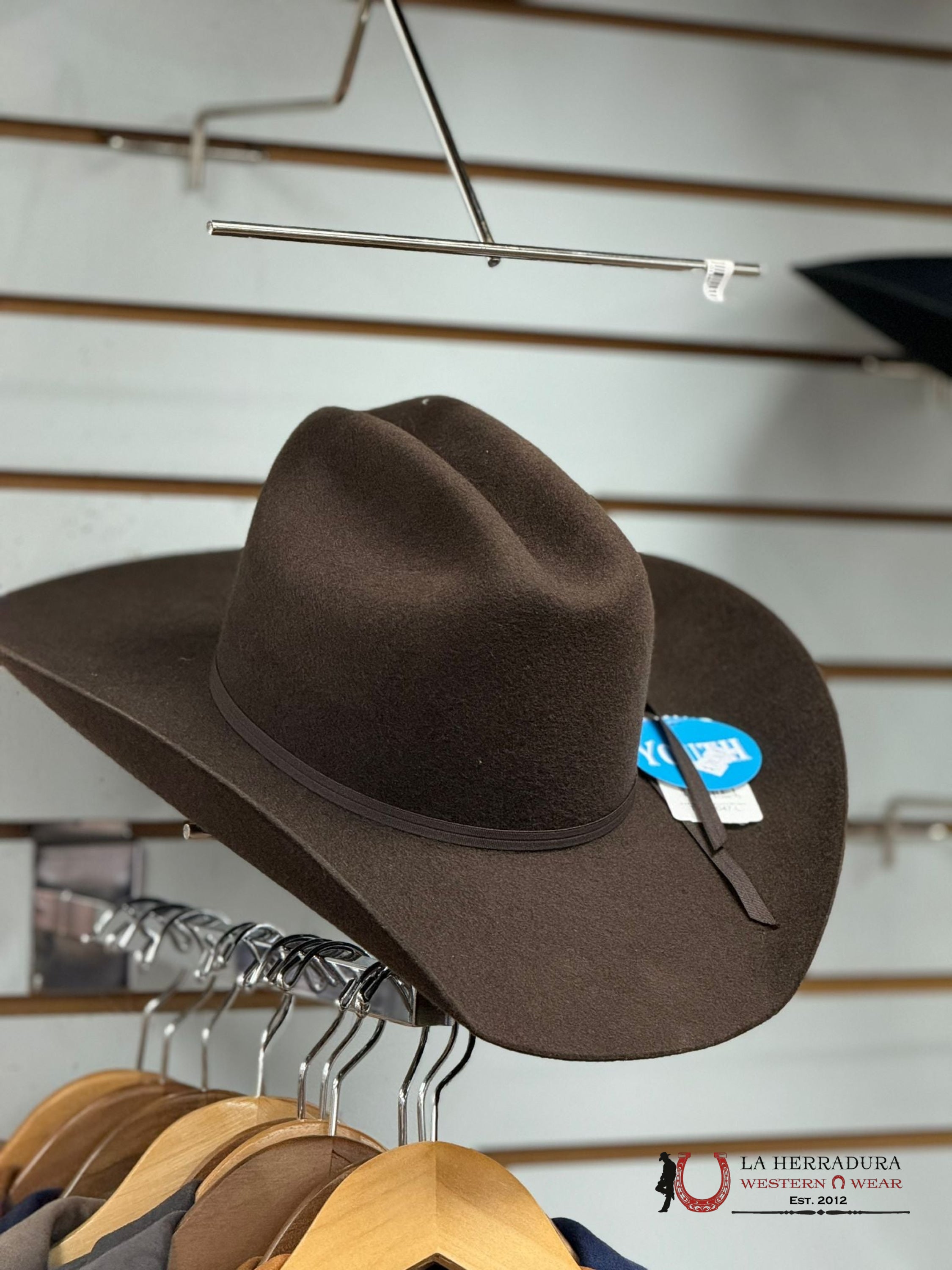 Kids Twister Brown Felt Hat Niños