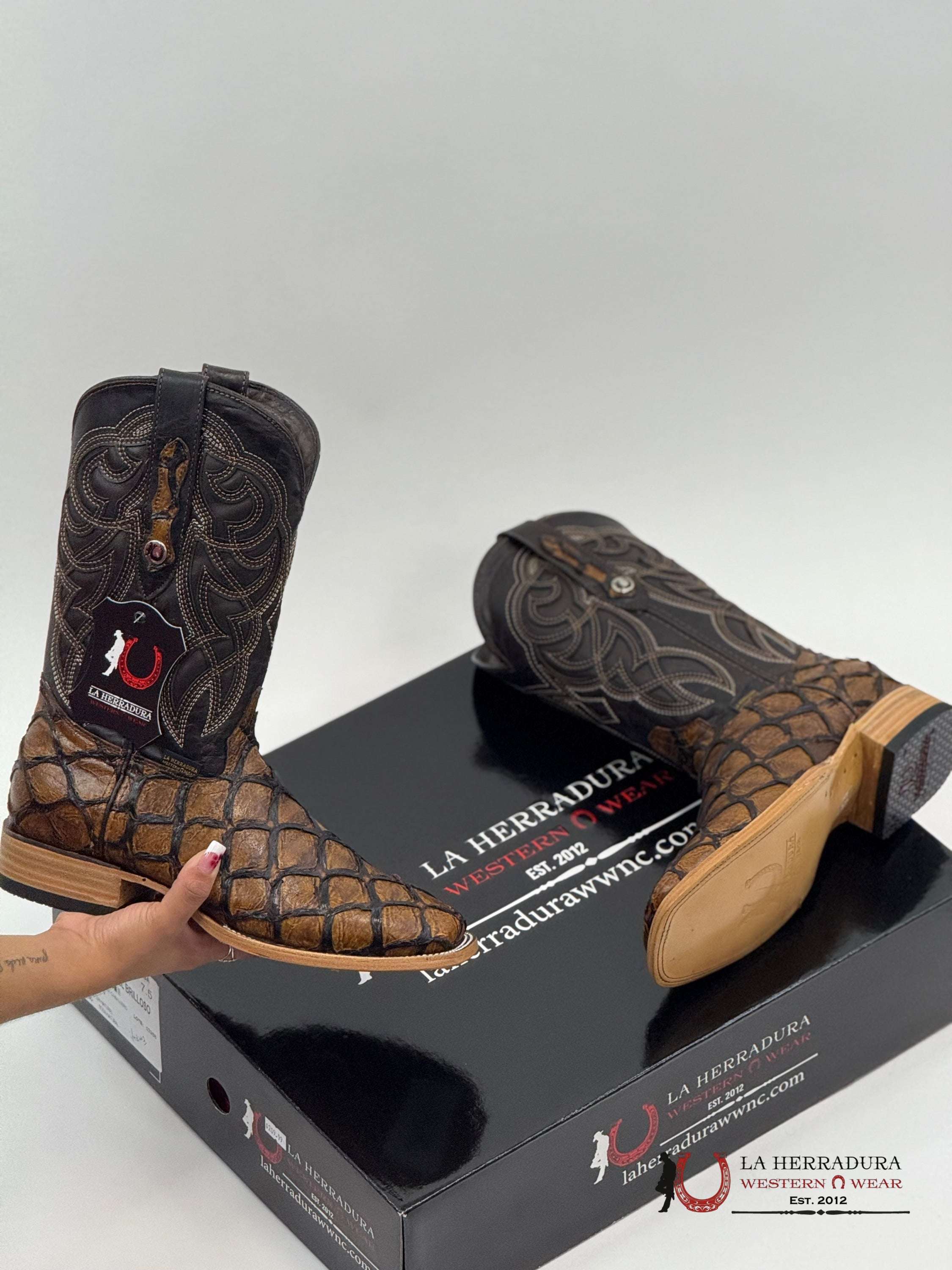 LA HERRADURA EST. PEZ CLON MIEL BRILLOSO BOTAS HOMBRES
