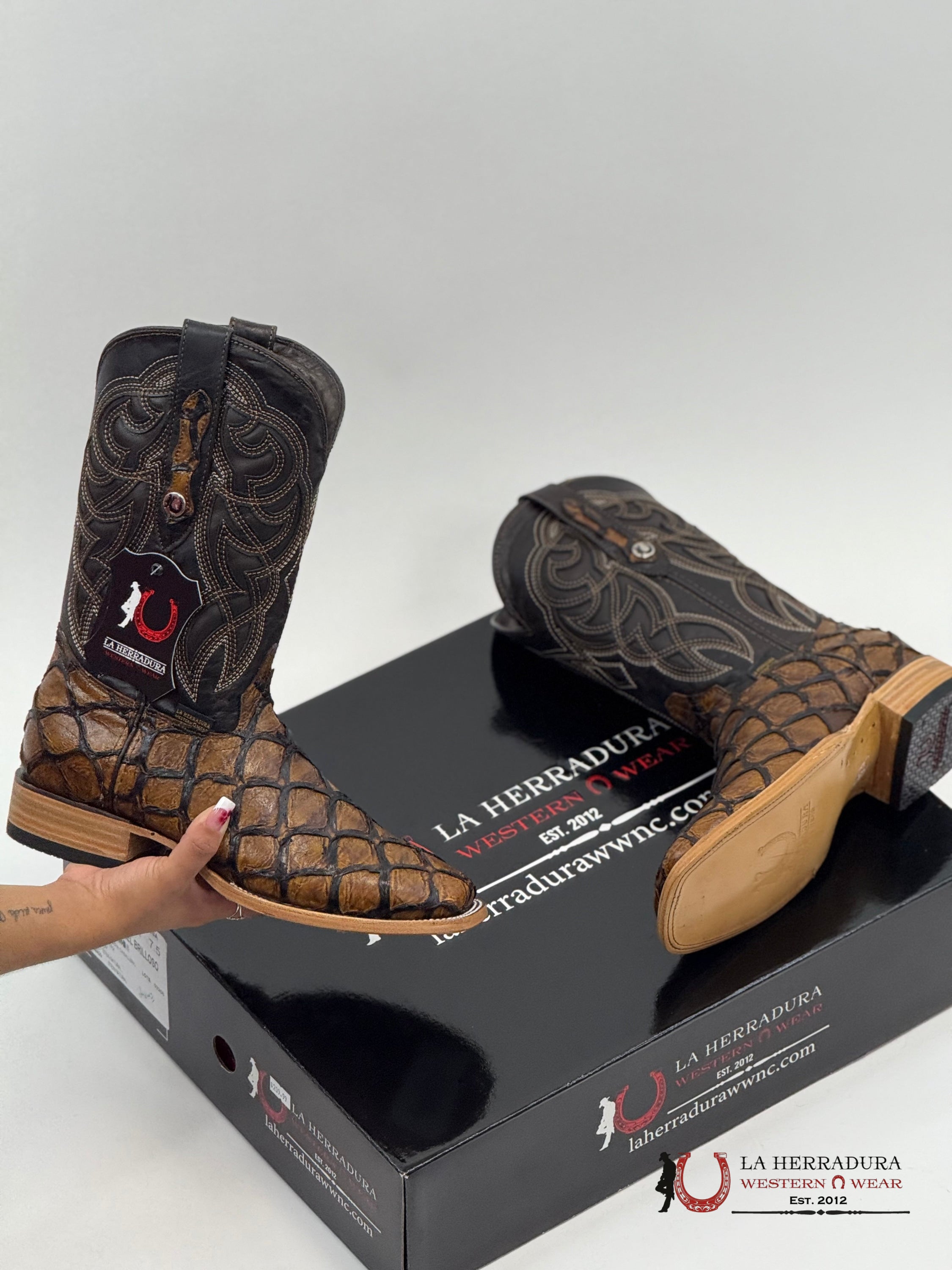 LA HERRADURA EST. PEZ CLON MIEL BRILLOSO BOTAS HOMBRES