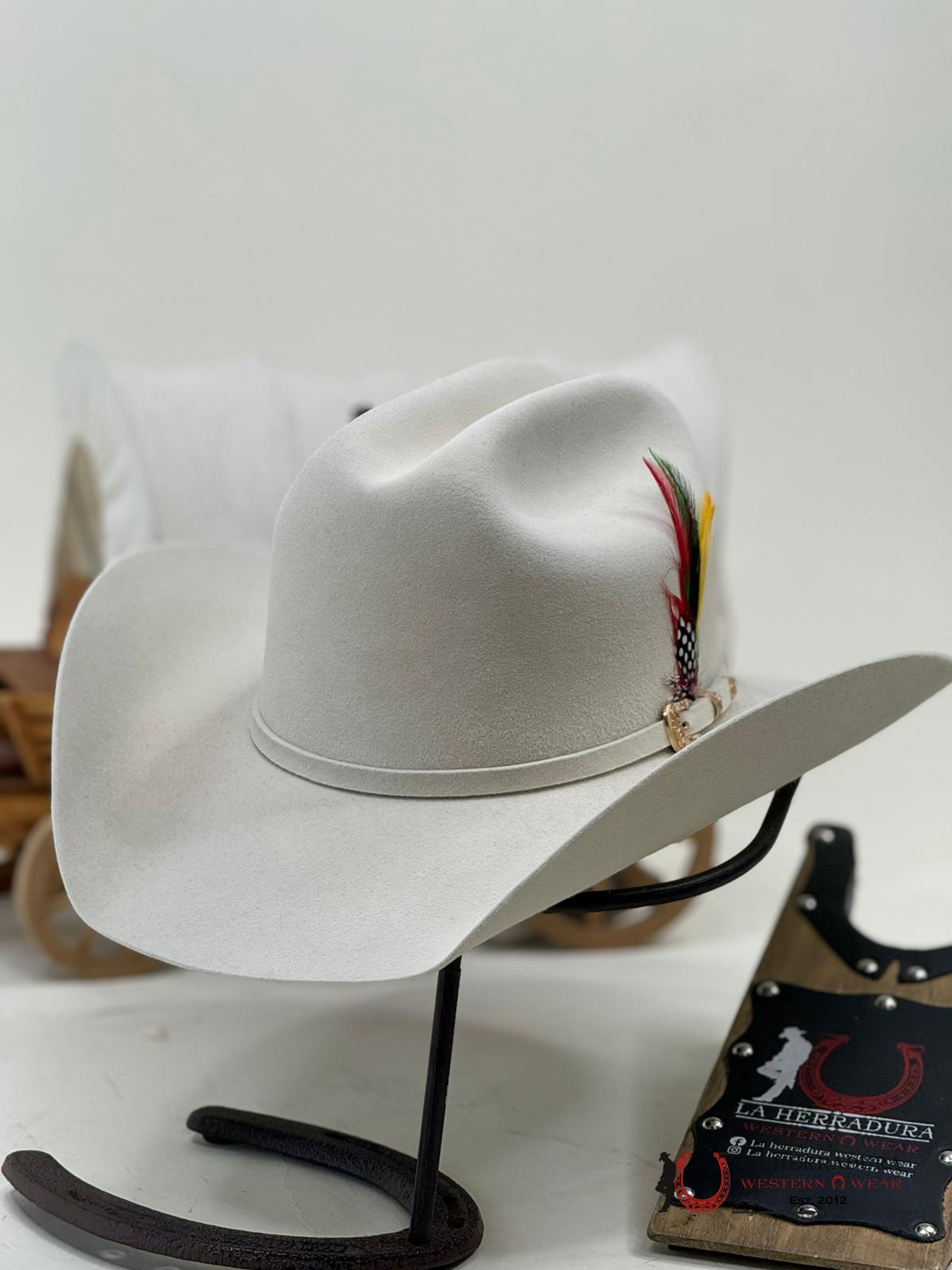 Larry Mahan´s 30X Cowboy Hat Silver Belly Tejana