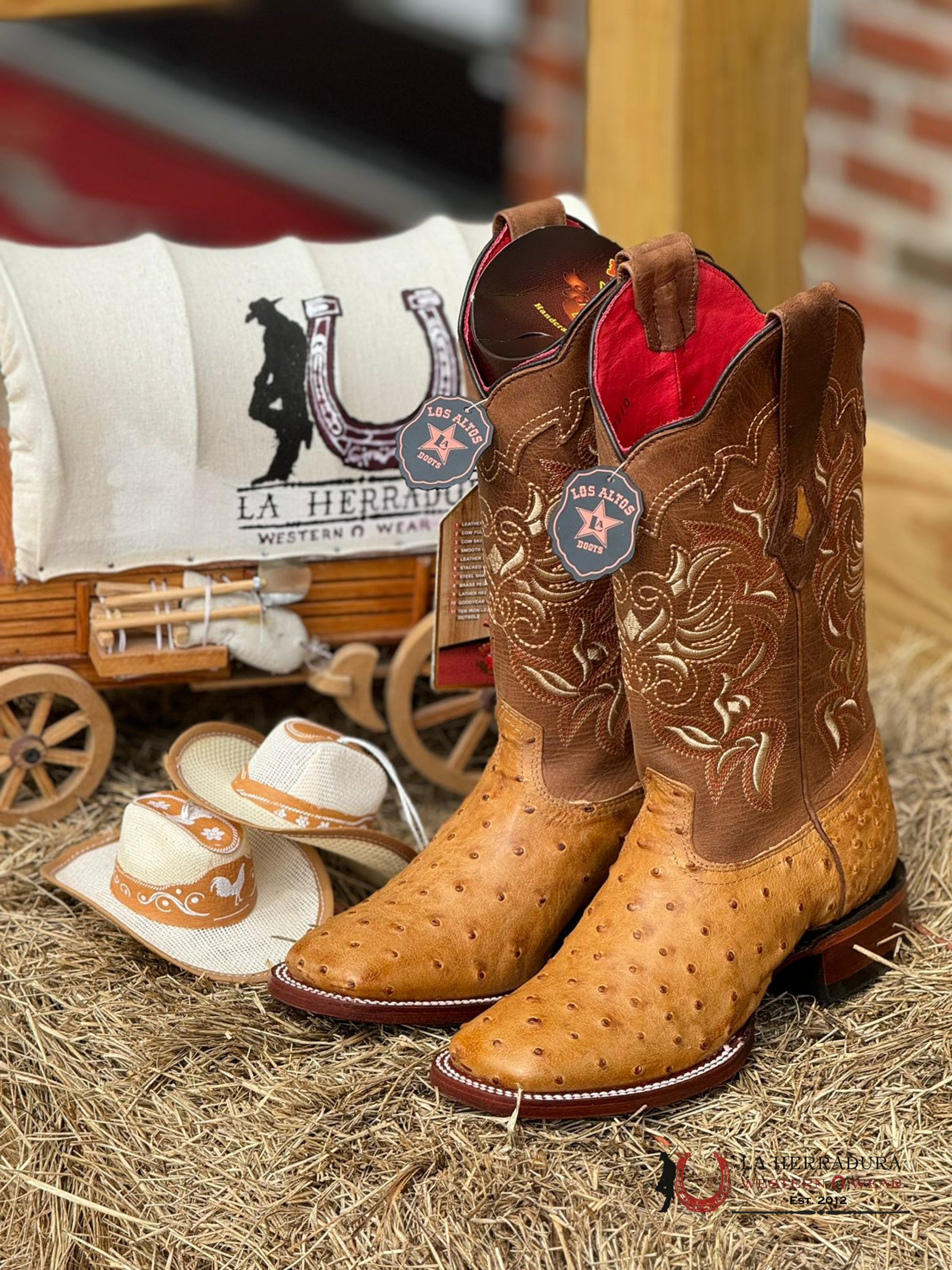 Los Altos Women’s Ostrich Amber Wide Square Toe Botas Mujeres