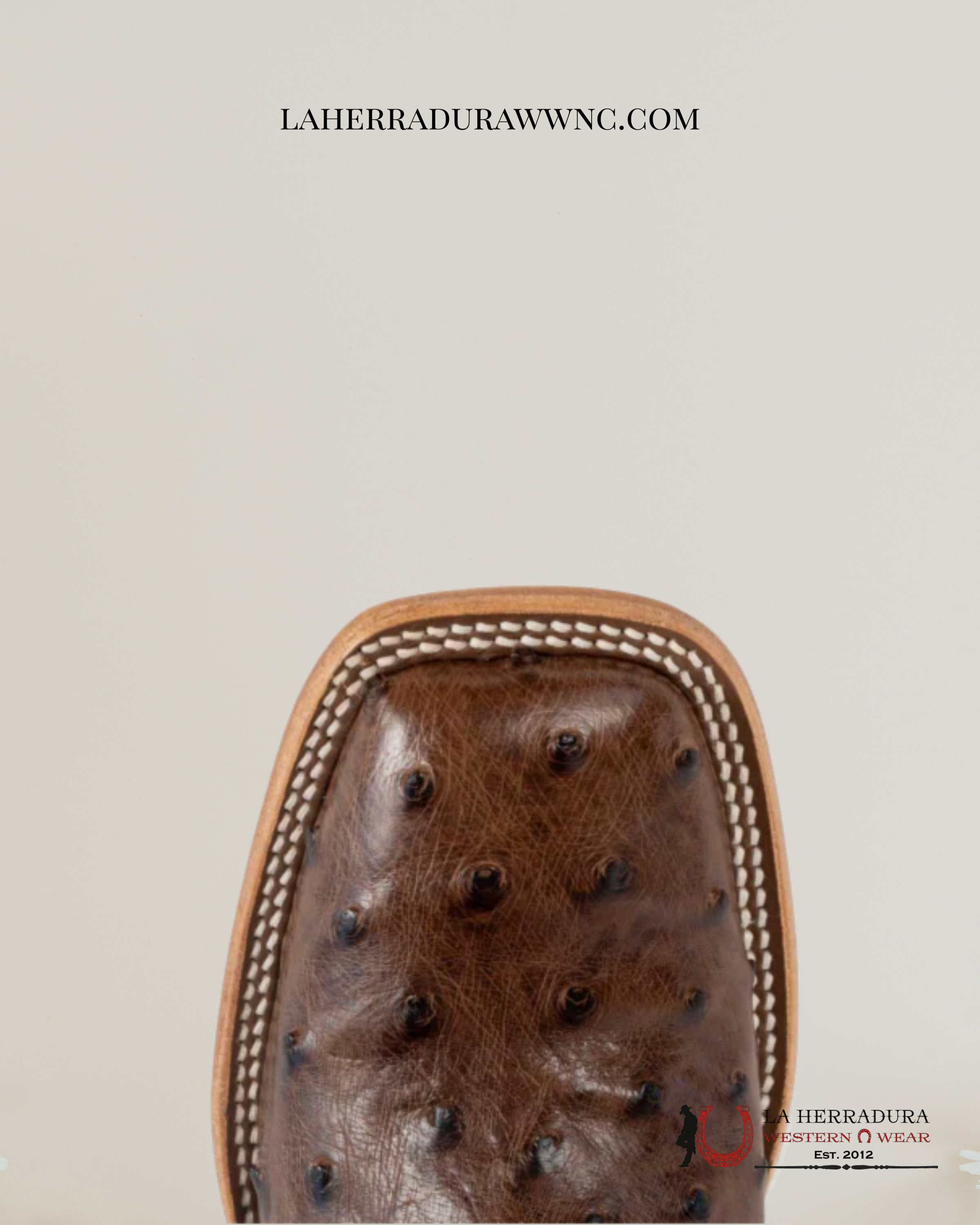 MACIE BEAM KANGO TOBAC FQ OSTRICH SKY BLUE BOTAS MUJERES