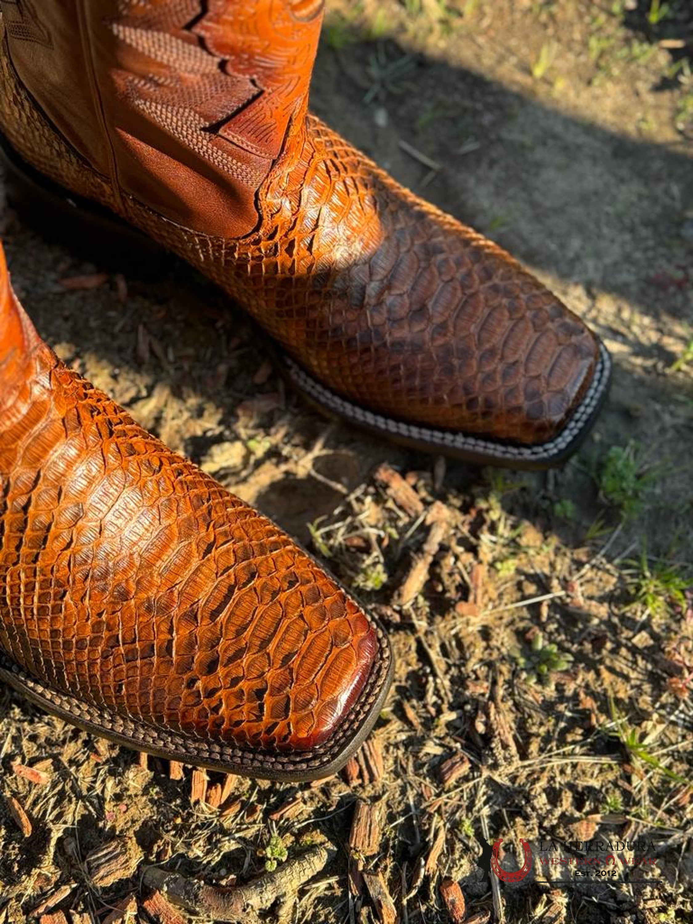 Mahuestic Python Coñac Square Toe Wa0612 Botas Hombres