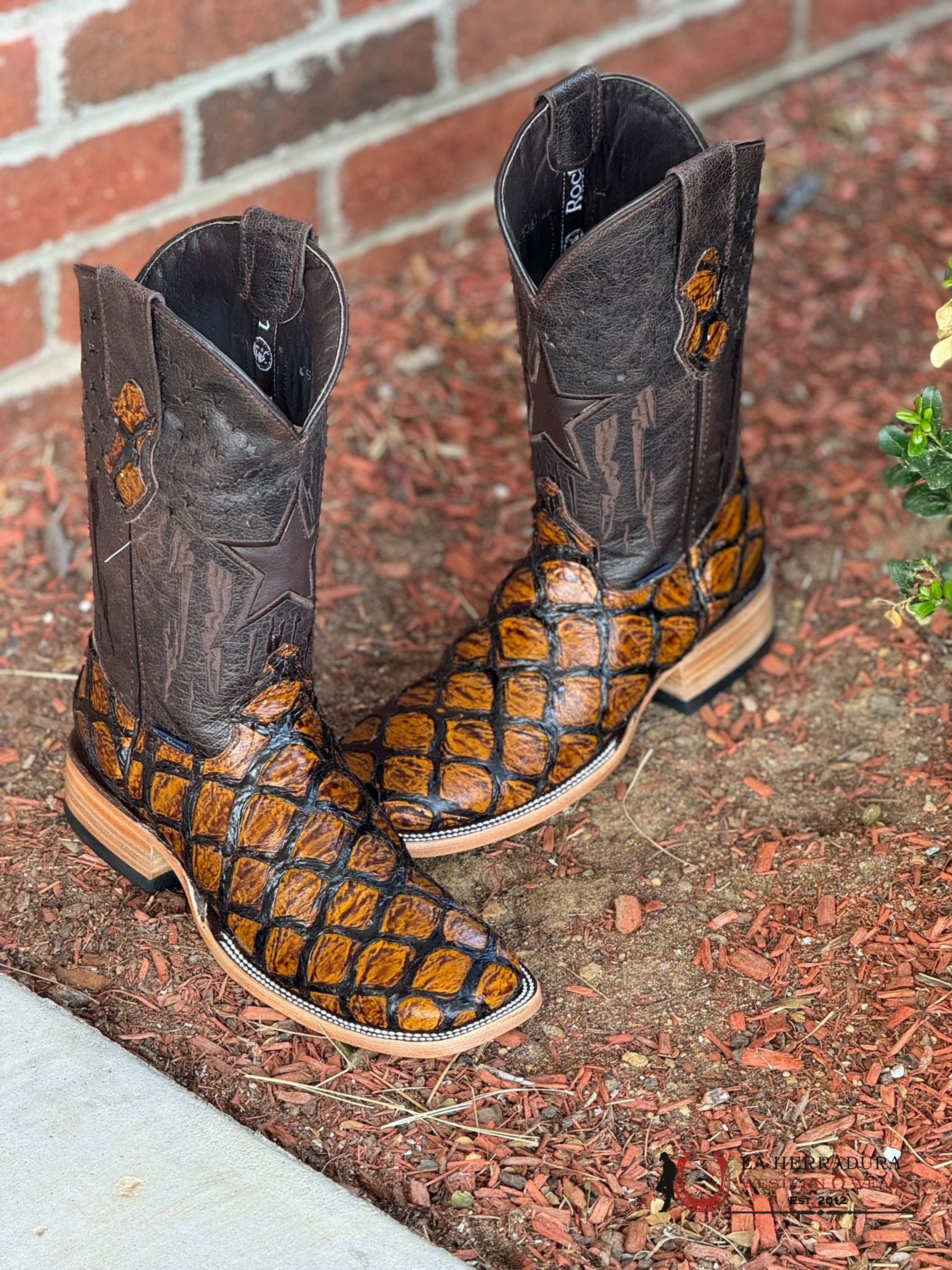 Mens Clon Pez Piraruco Honey Miel Botas Hombres