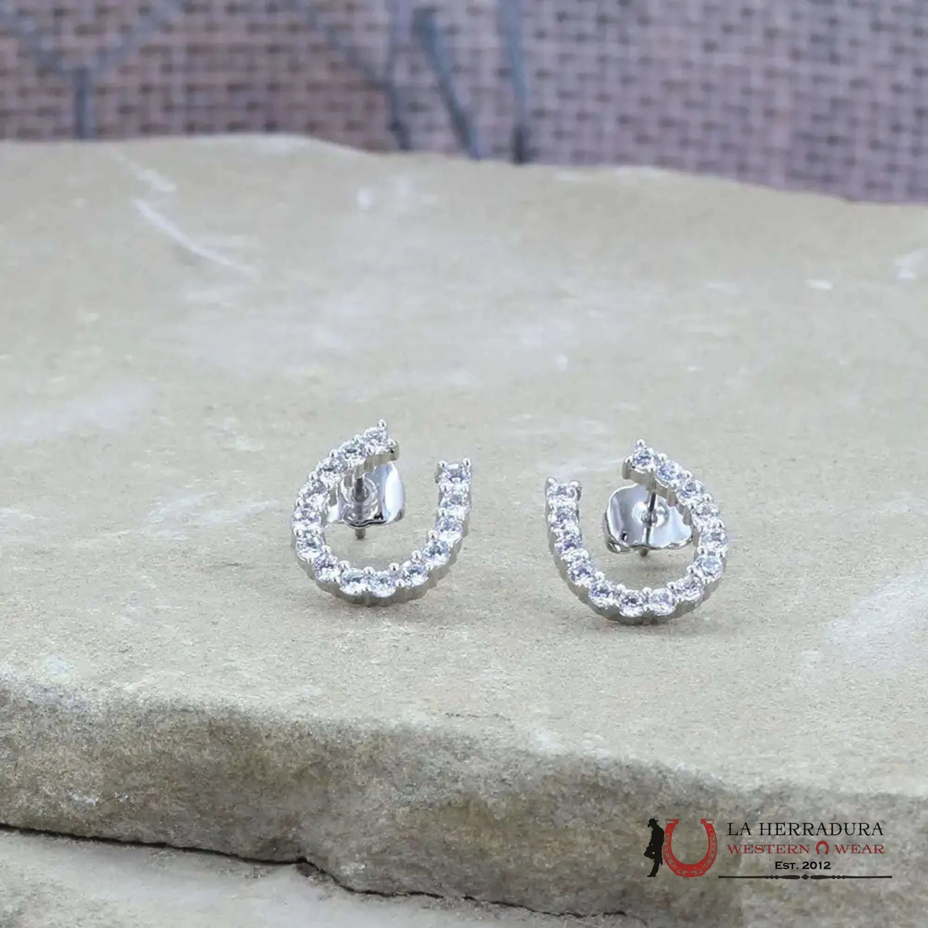 Montana Silversmith Tiny Rider Post Earrings