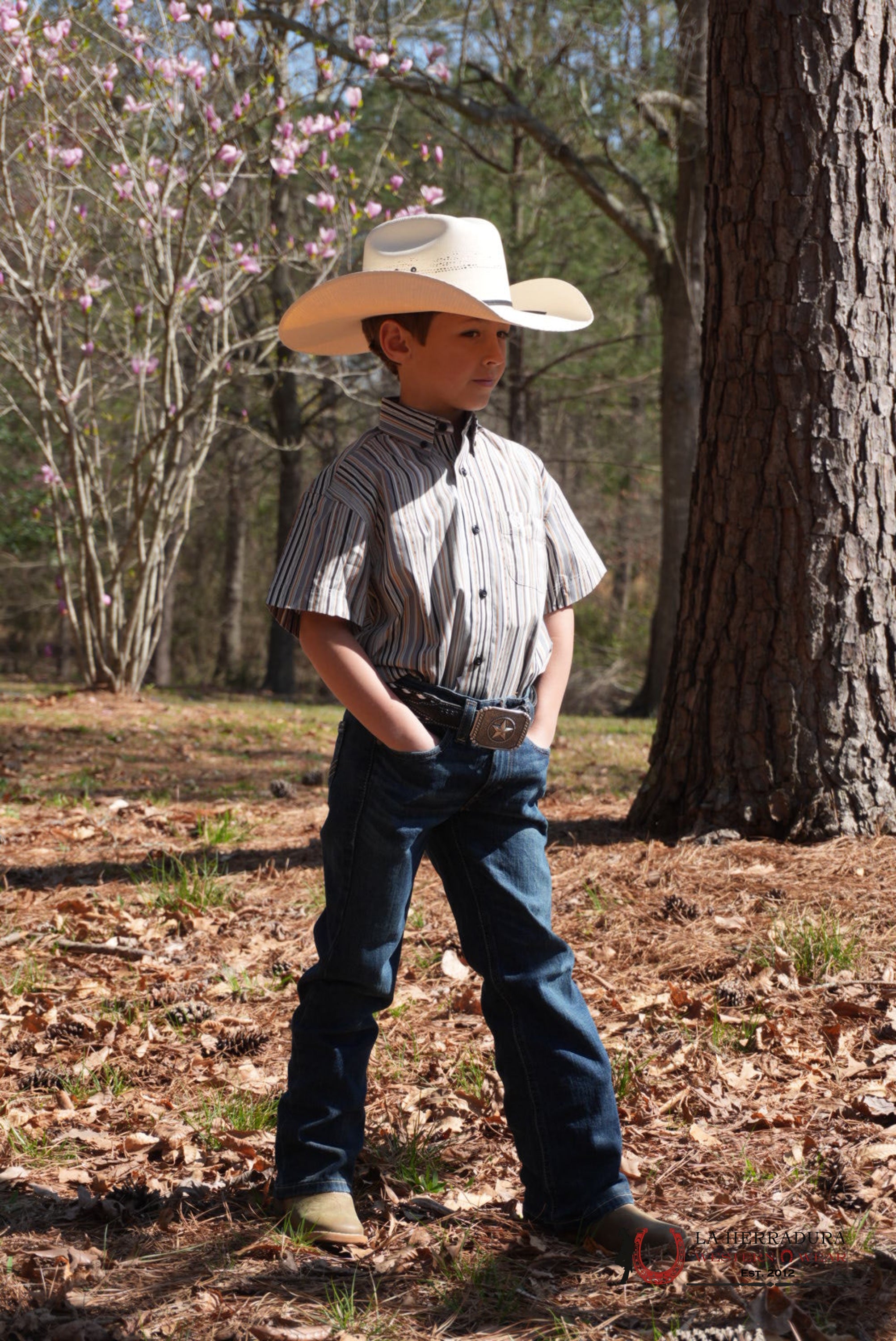 PANDHANDLE BOYS GREY STRIPE SHORT SLEEVE SHIRT NIÑOS