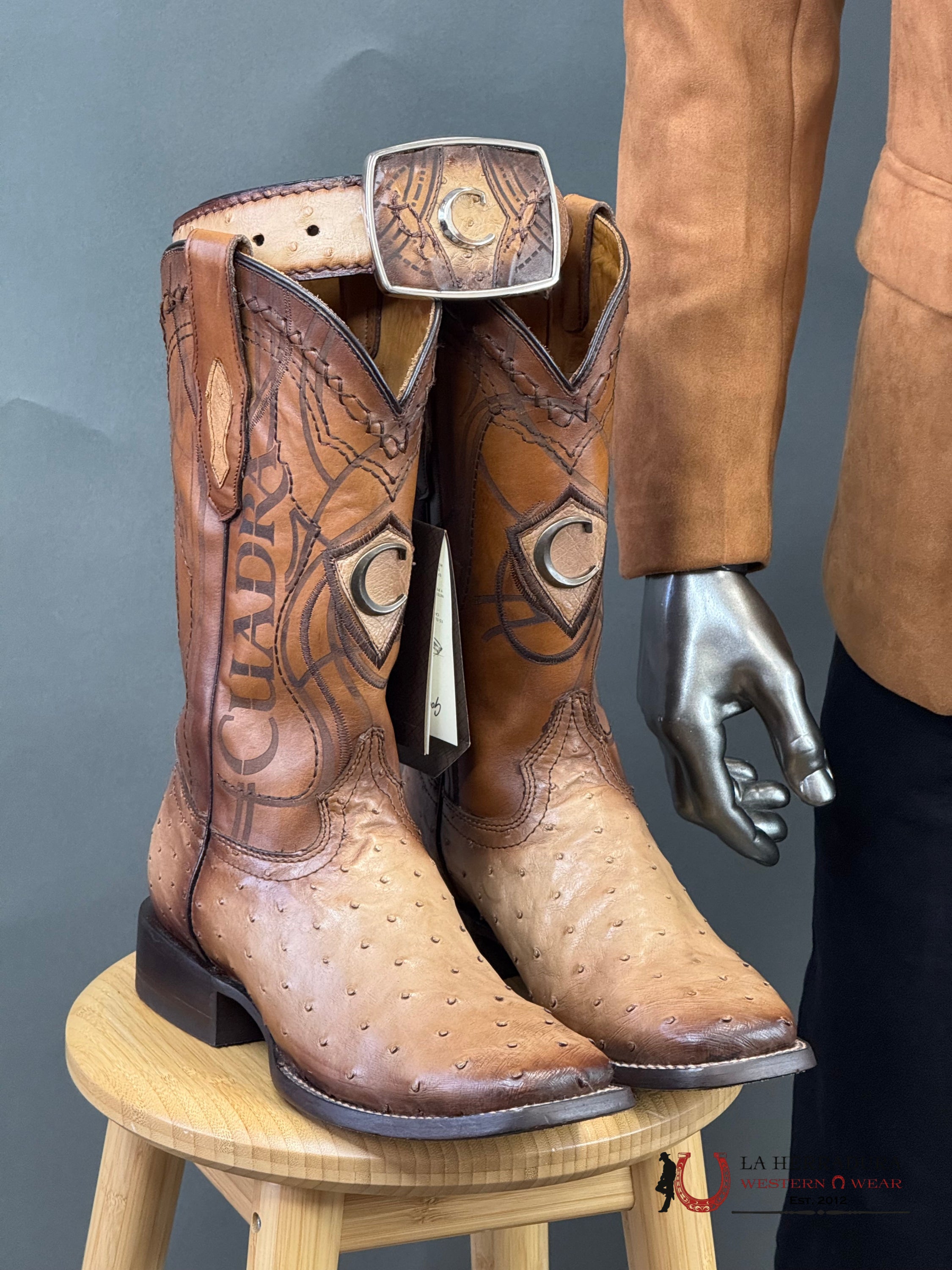 Platini Camel Gamuza Suede Blazer Blz9227 Ropa Hombres