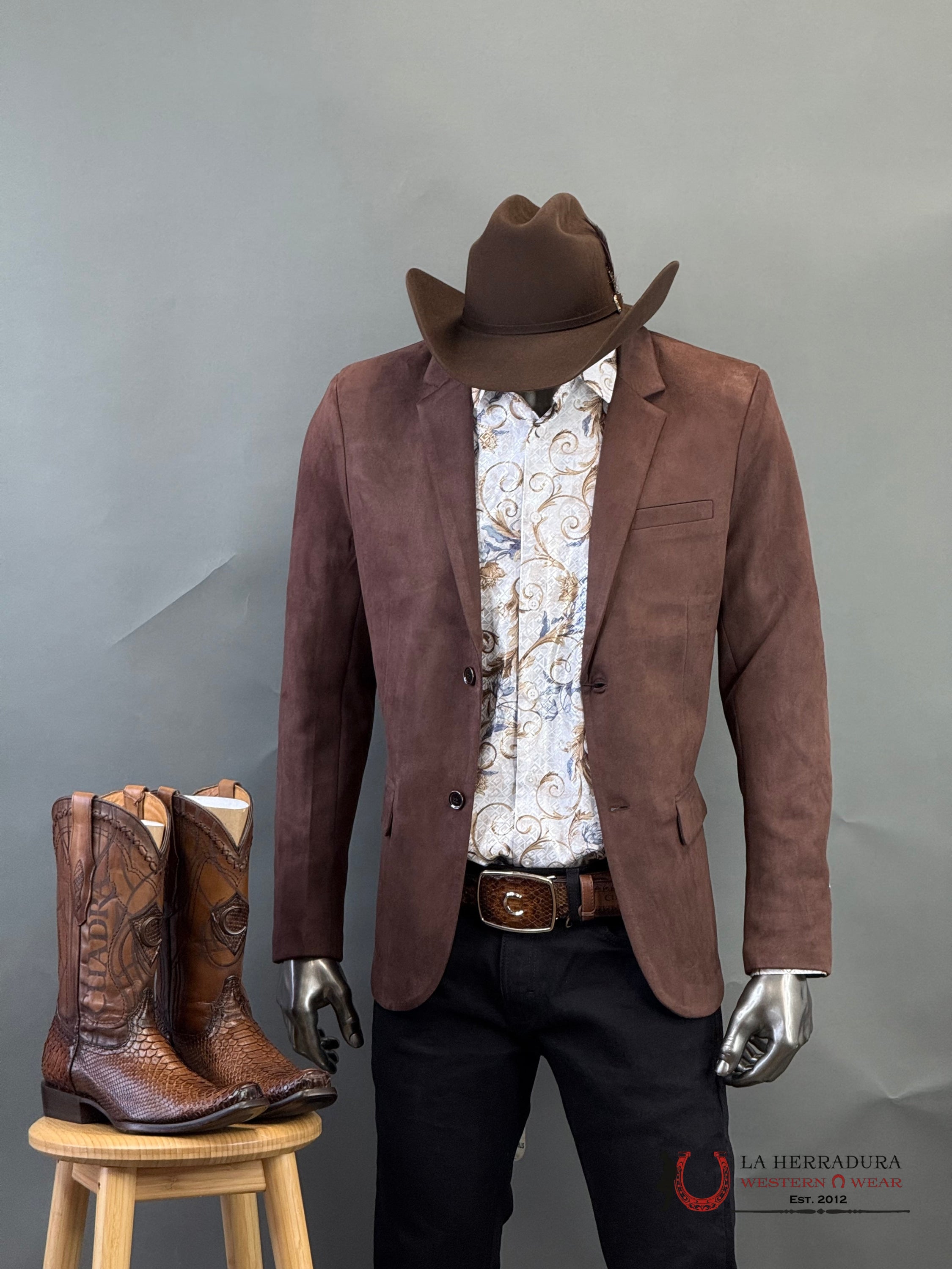 Platini Chocolate Brown Gamuza Suede Blazer Bl28859 Ropa Hombres