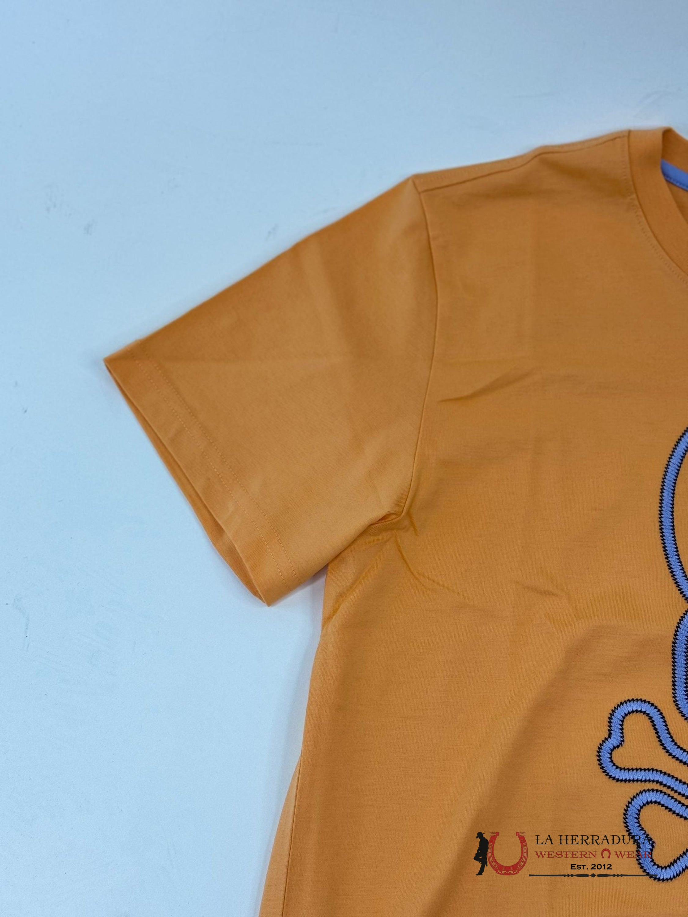 Psyco Bunny Floyd Mock Orange Graphic Tee Ropa Hombres