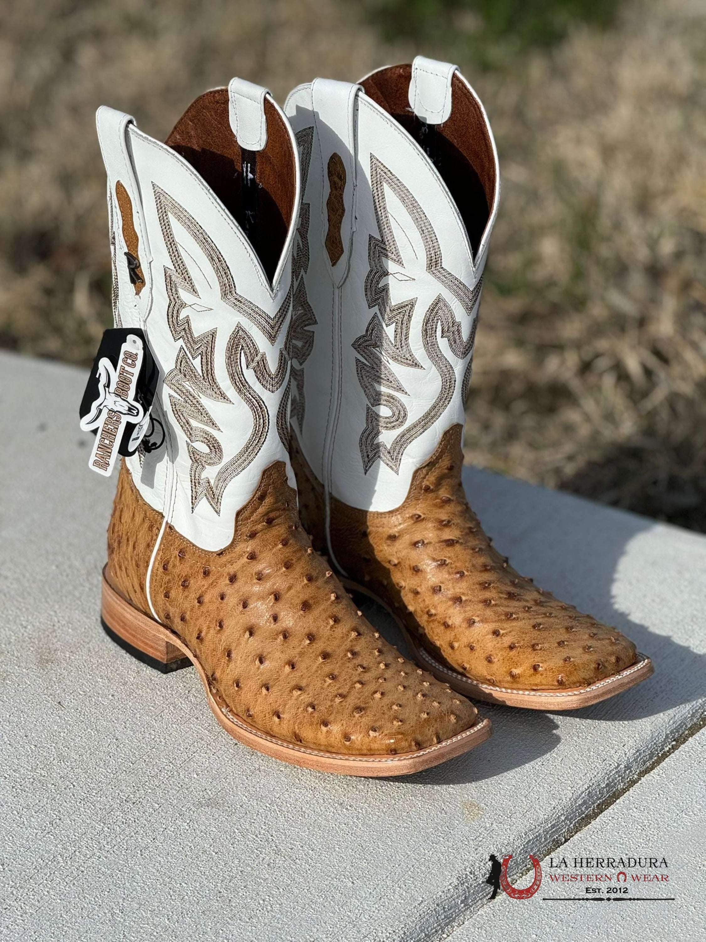 Rancher Ostrich Umber Nuevo Mexico Boot Botas Hombres