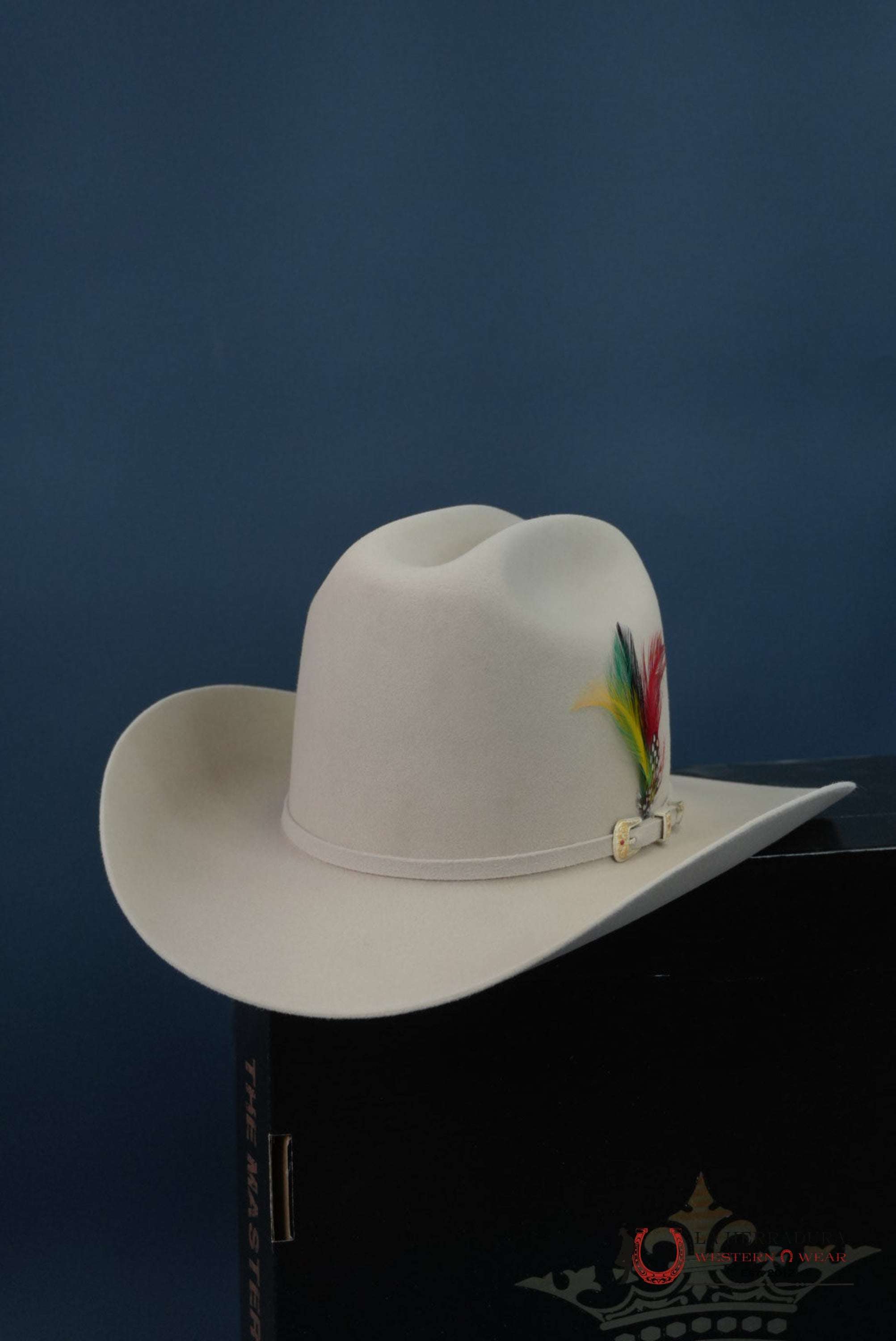 RDR 10X SILVER BELLY EL PATRON COWBOY HAT TALL CROWN TEJANA
