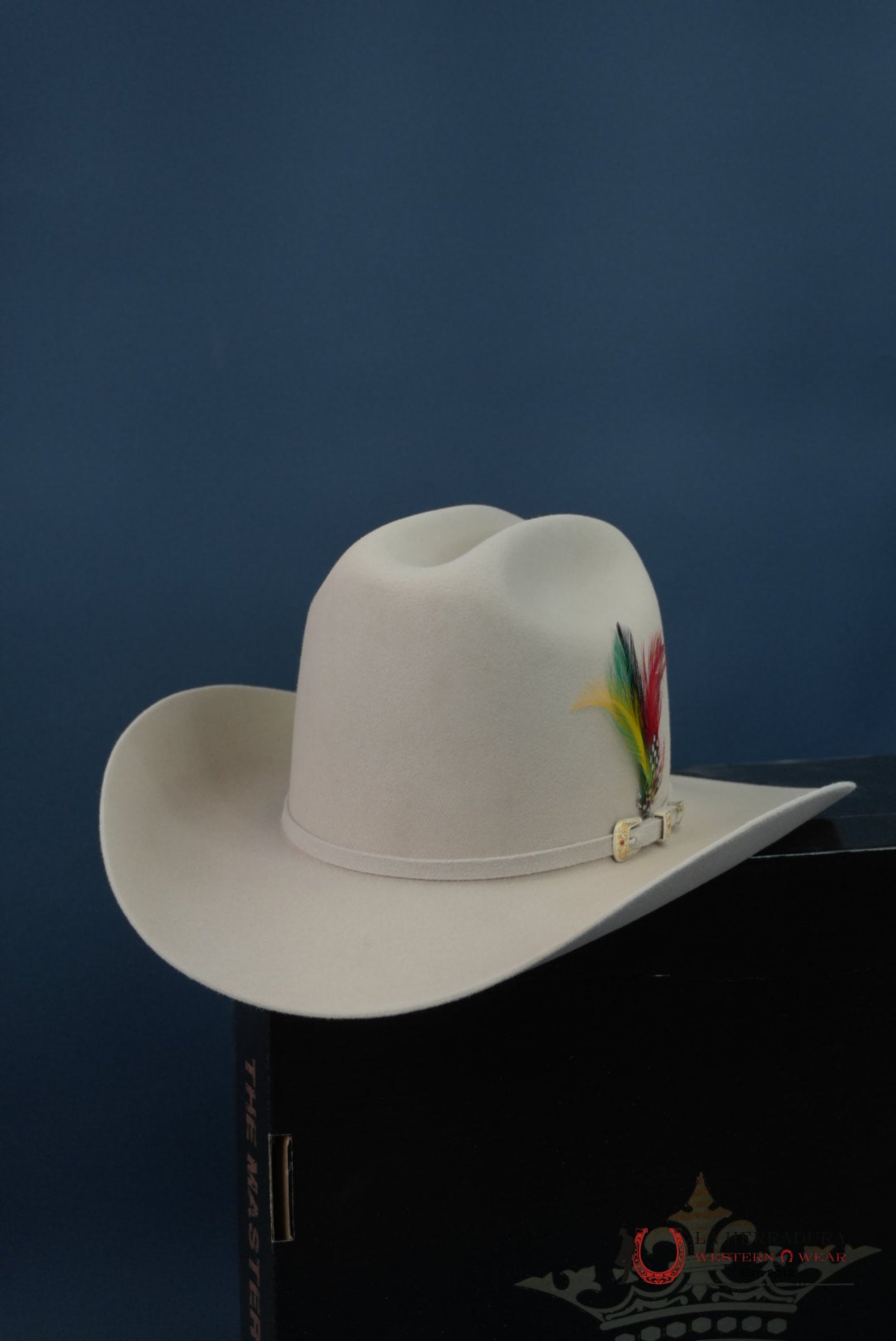 RDR 10X SILVER BELLY EL PATRON COWBOY HAT TALL CROWN TEJANA