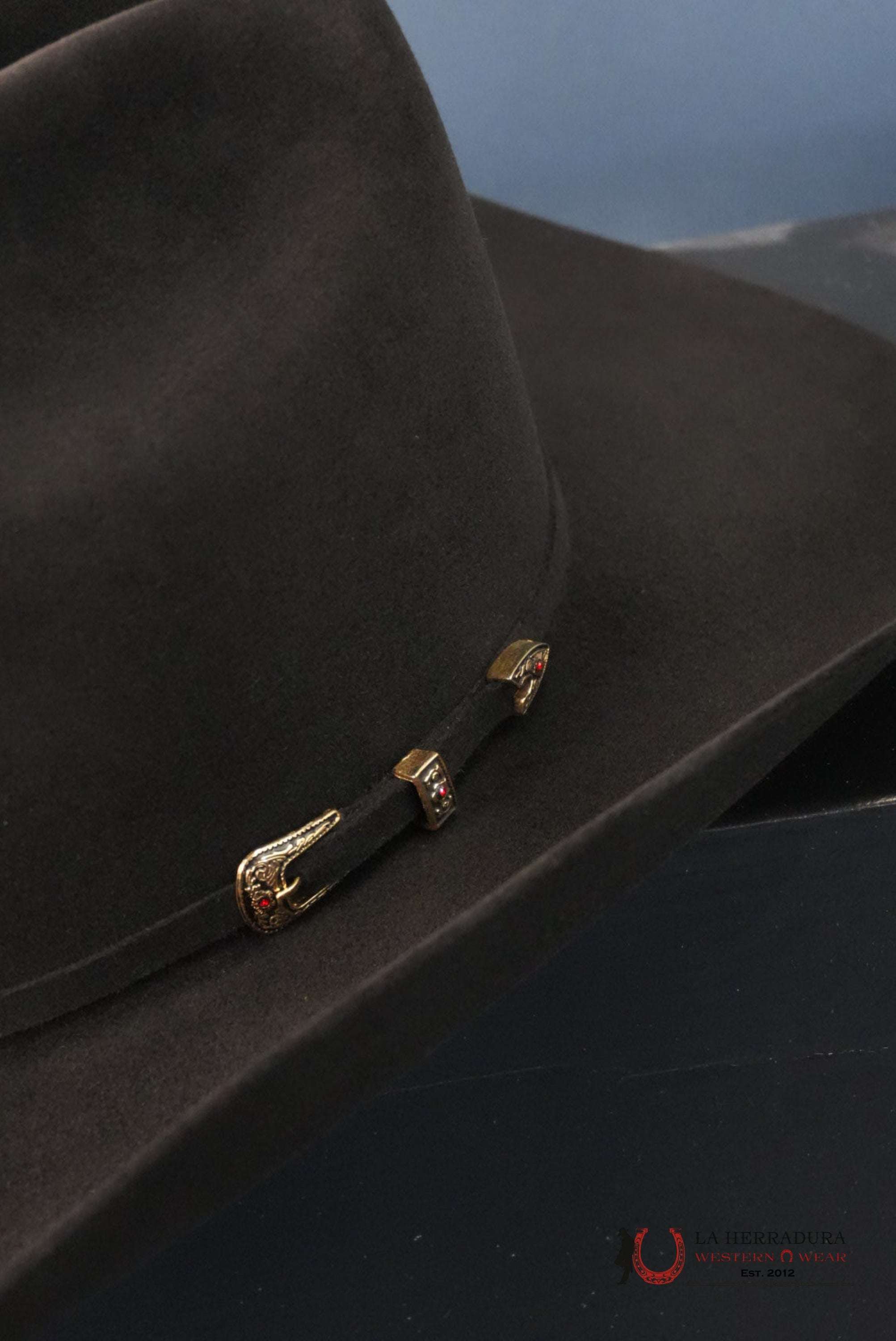 RDR 30X PATRON COPA ALTA COWBOY HAT NEGRO TEJANA